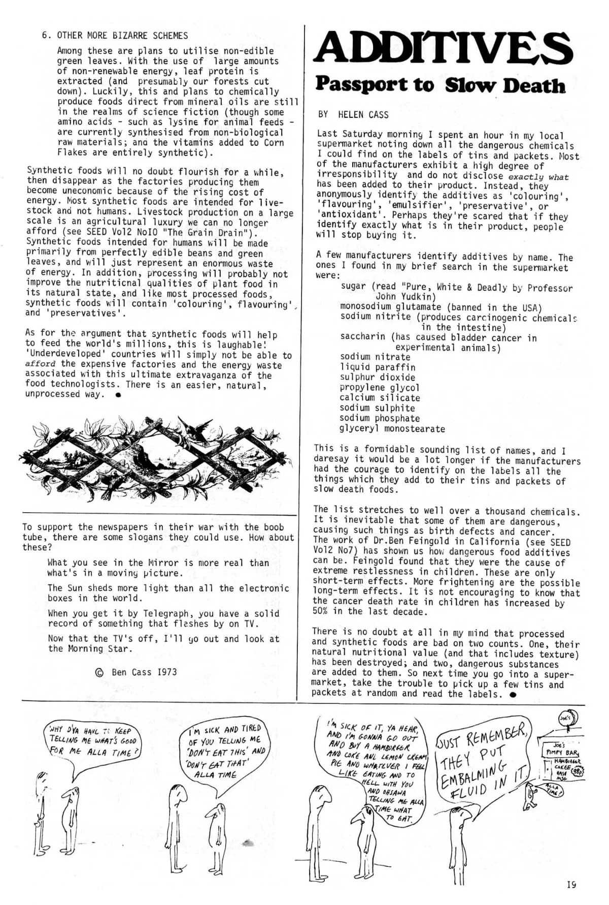 Seed Vol.2 No.11 Nov 1973 p.19