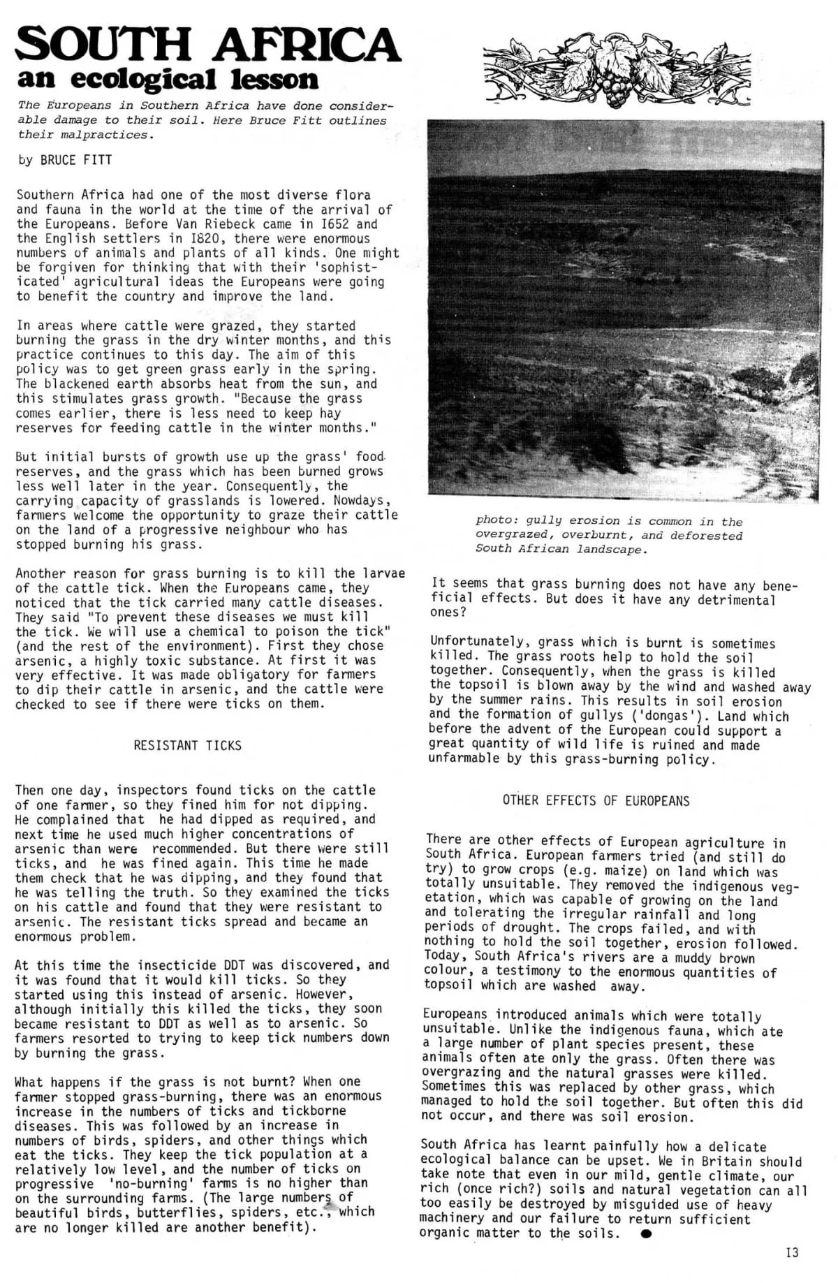 Seed Vol.2 No.11 Nov 1973 p.13
