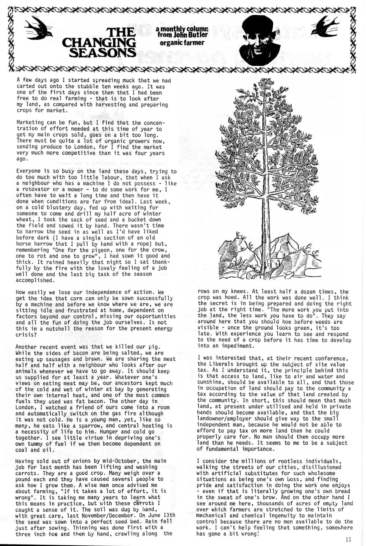 Seed Vol.2 No.11 Nov 1973 p.11