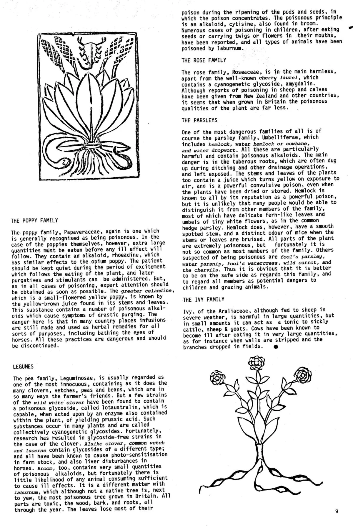 Seed Vol.2 No.11 Nov 1973 p.9