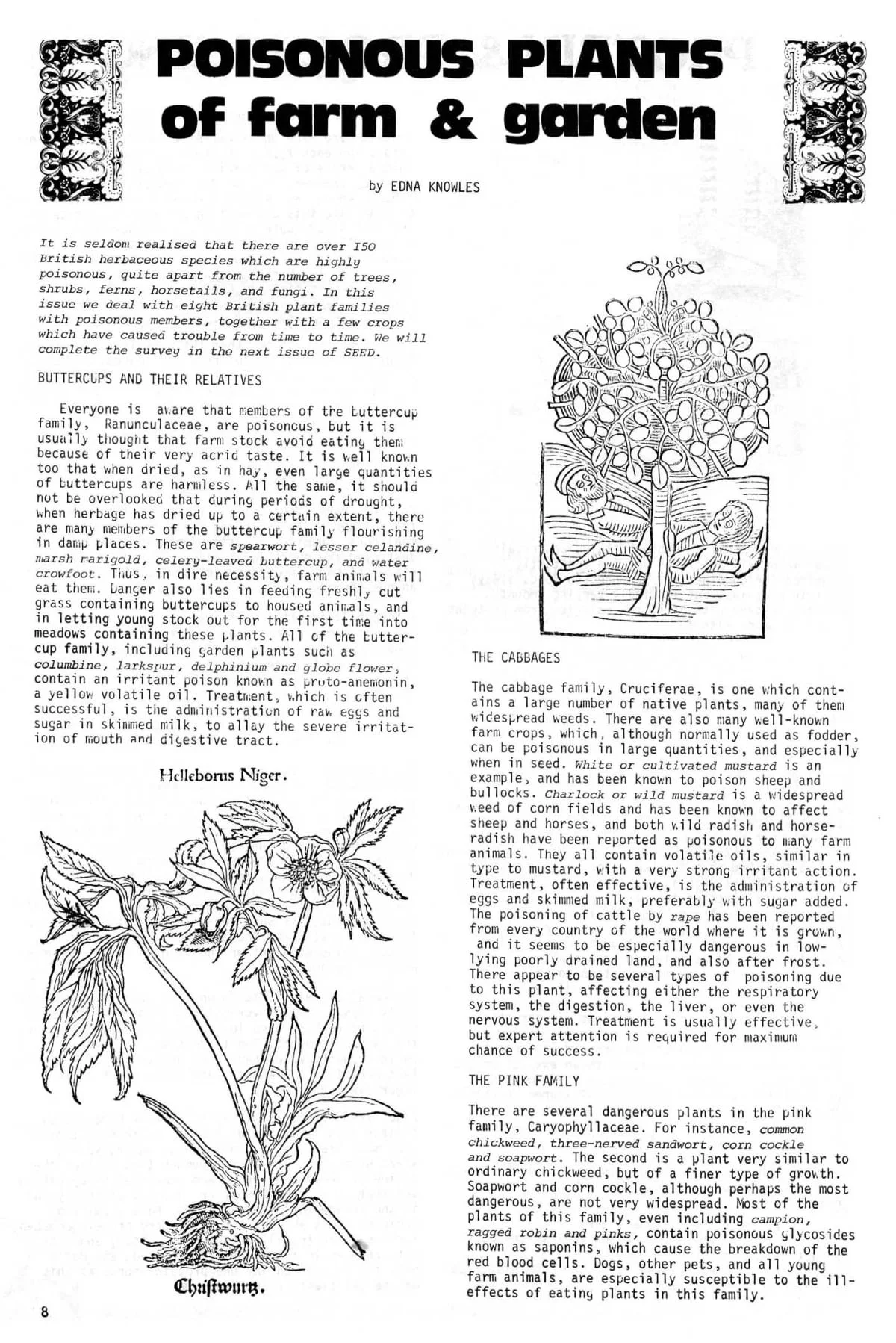 Seed Vol.2 No.11 Nov 1973 p.8