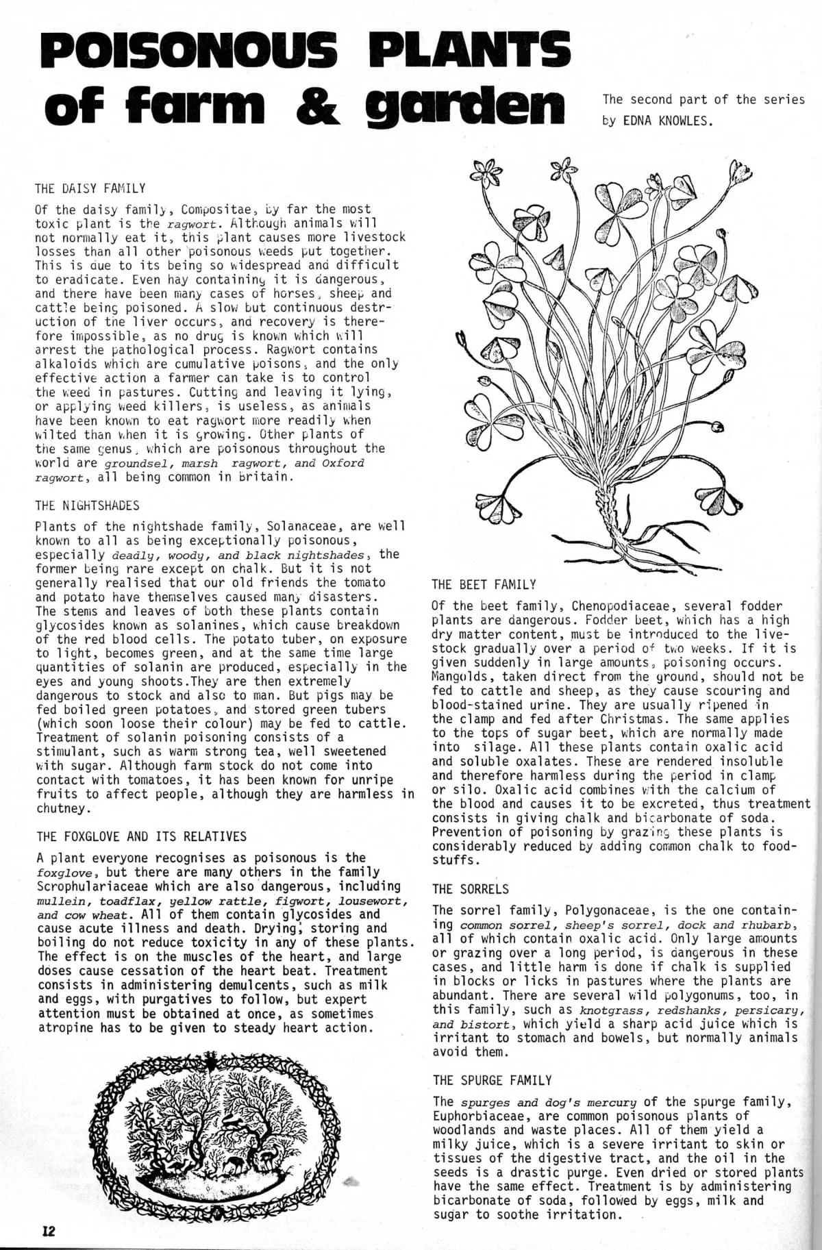 Seed Vol.3 No.1 Jan 1974 p.12