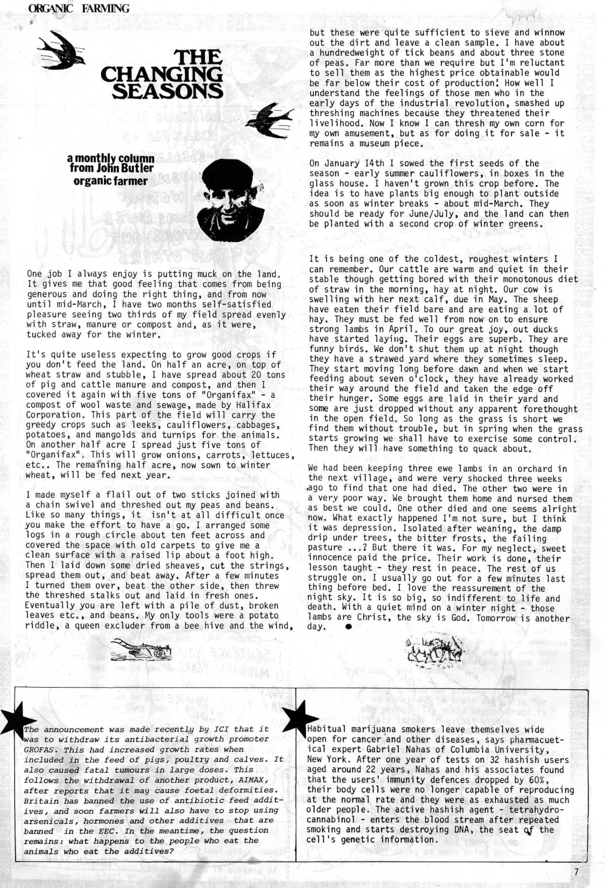 Seed Vol.3 No.2 Feb 1974 p.7