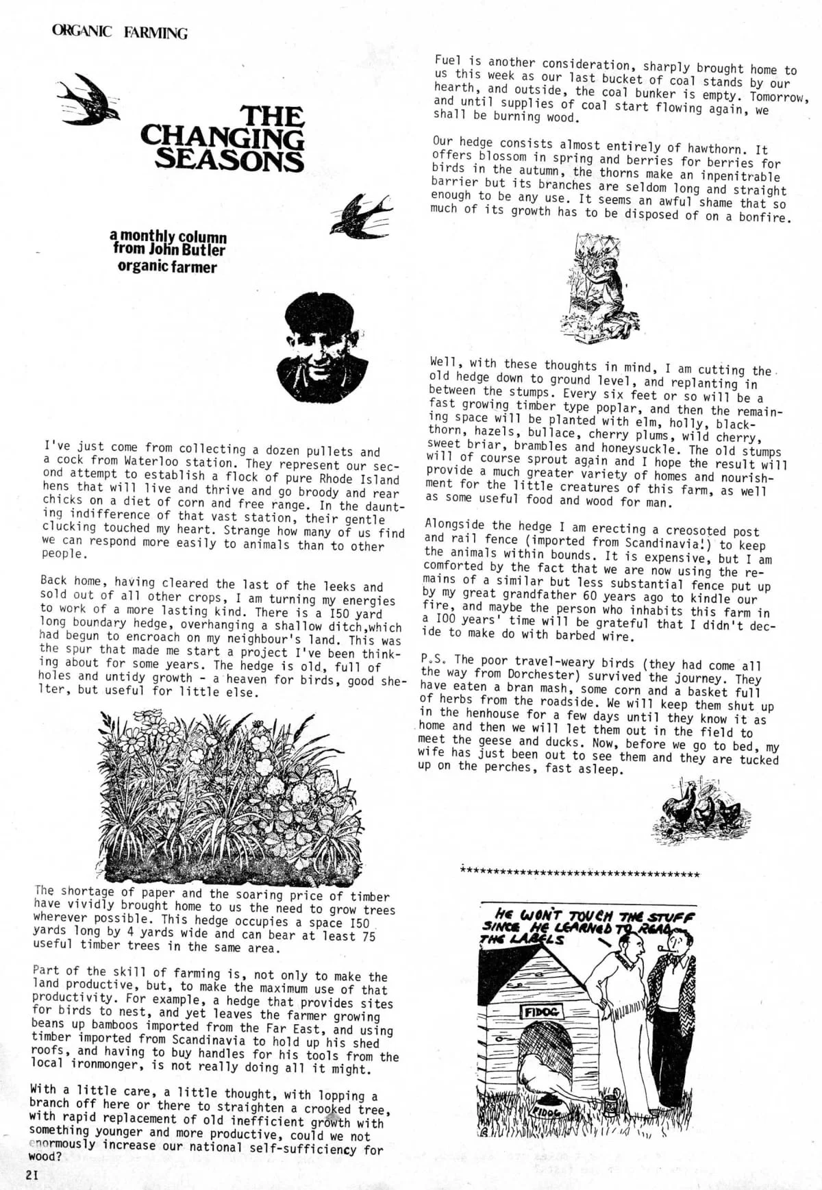 Seed Vol.3 No.3 March 1974 p.21