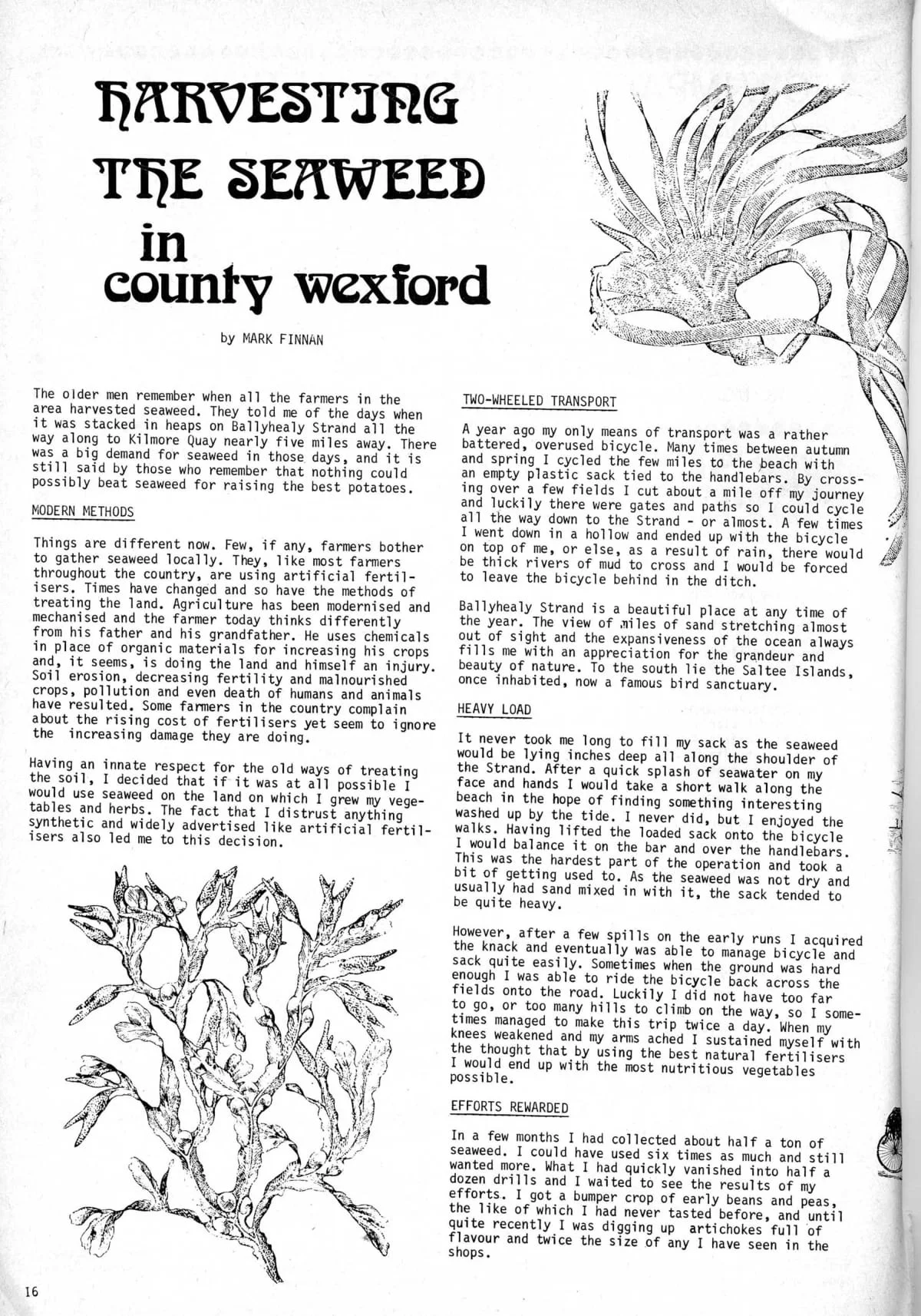 Seed Vol.3 No.4 April 1974 p.16