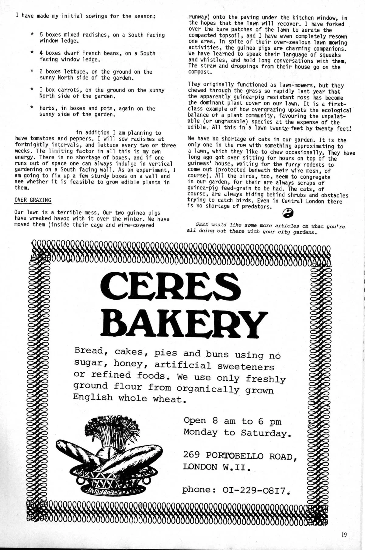 Seed Vol.3 No.5 May 1974 p.19