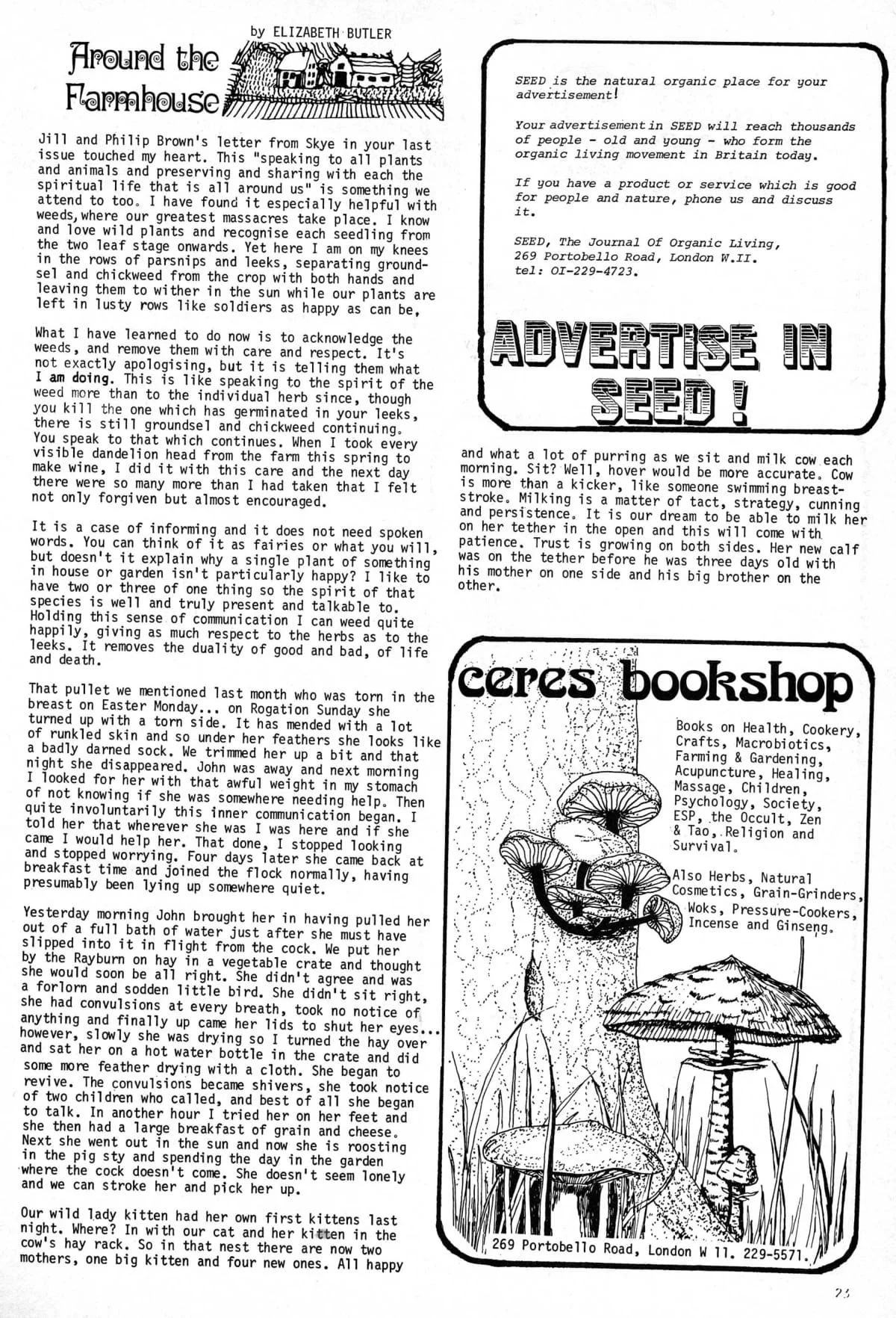 Seed Vol.3 No.6 June 1974 p.23