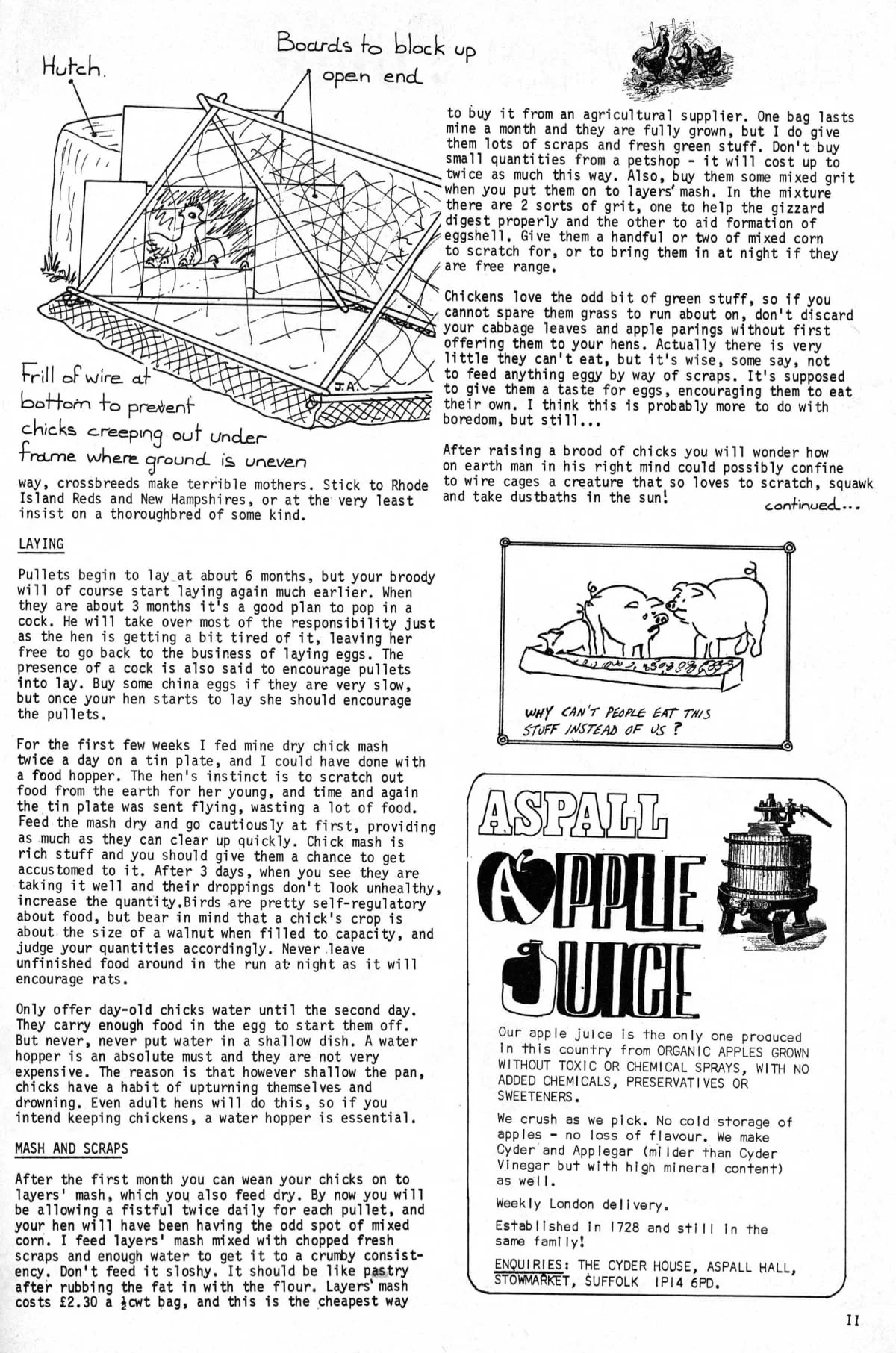 Seed Vol.3 No.10 Oct 1974 p.11