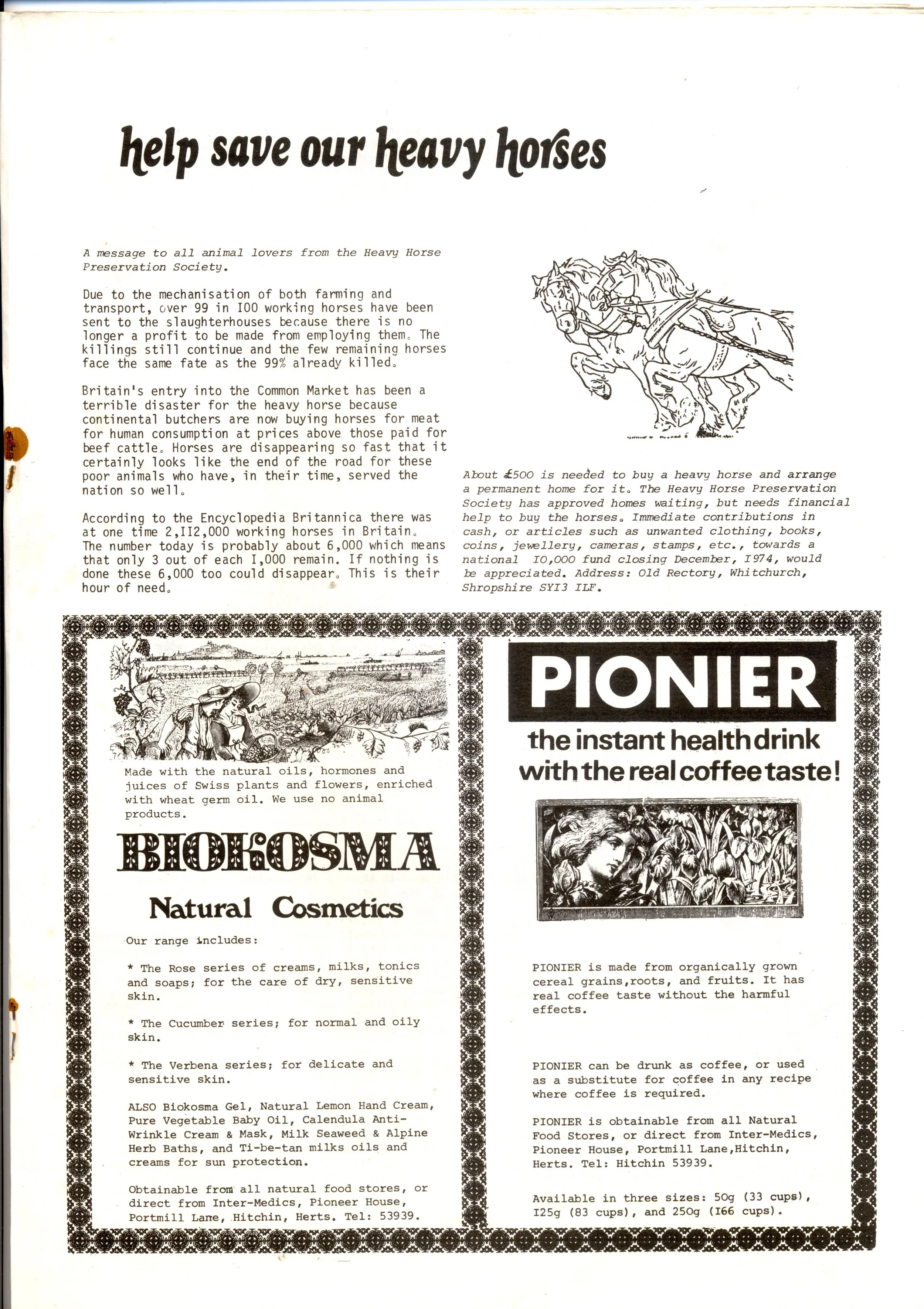 Seed Vol.3 No.7 July 1974 p.17