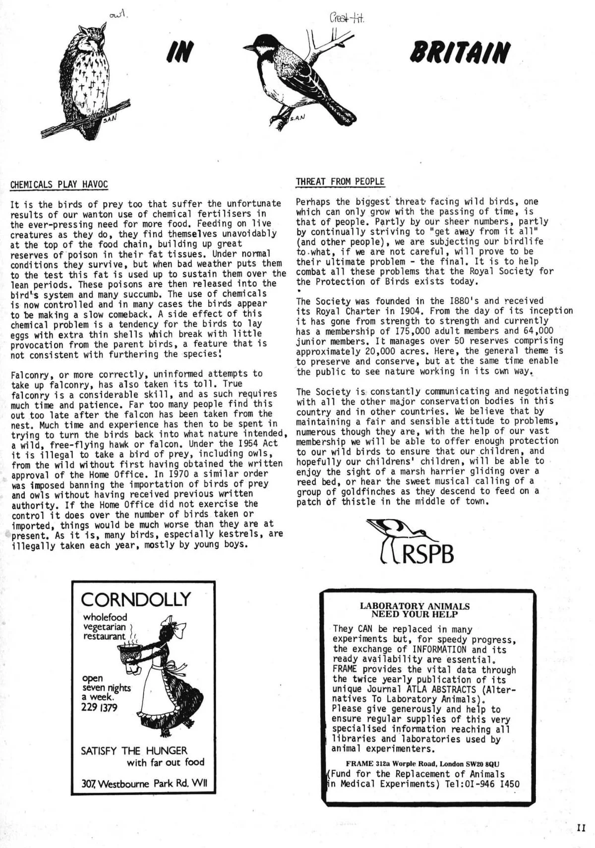 Seed Vol.4 No.2 Feb 1975 p.11