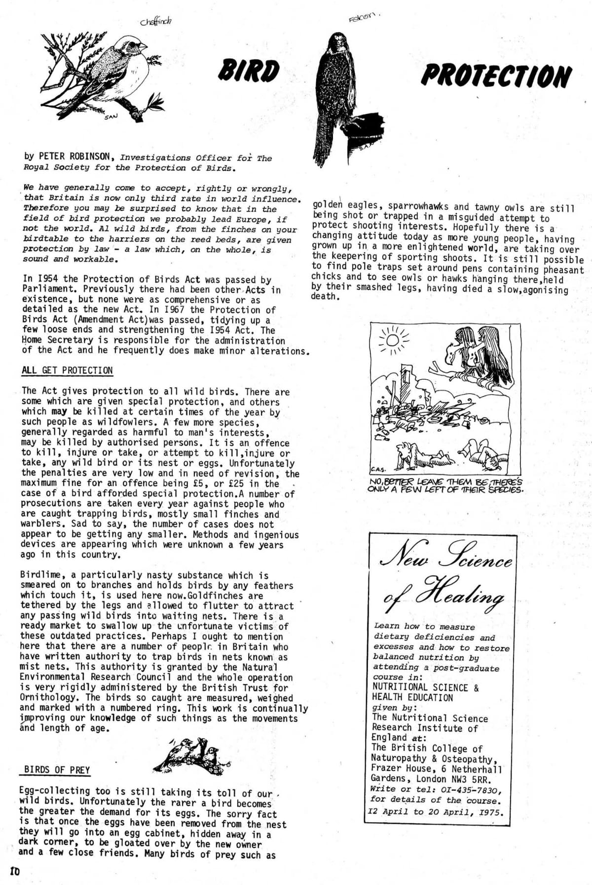 Seed Vol.4 No.2 Feb 1975 p.10