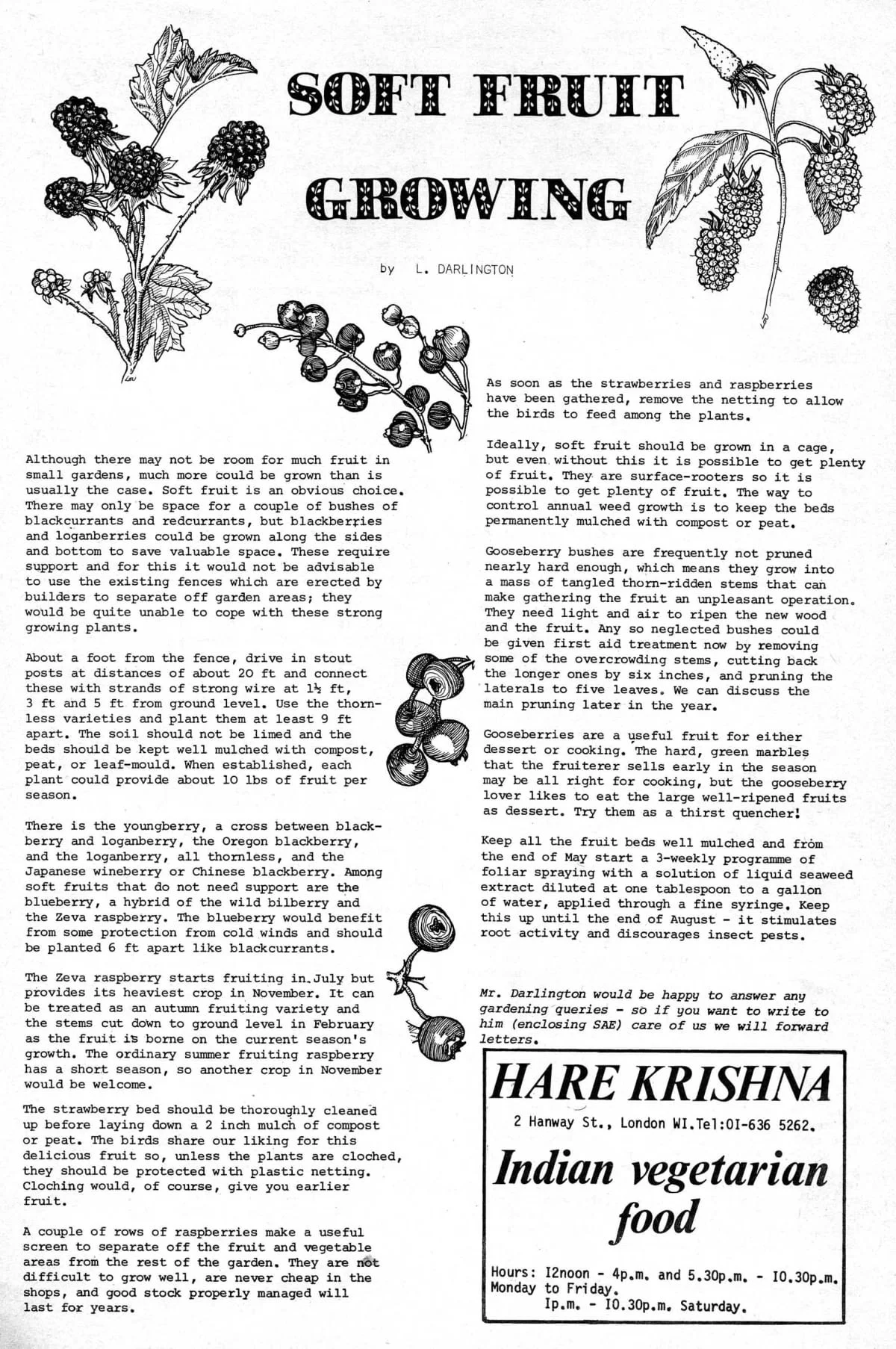 Seed Vol.4 No.4 April 1975 p.19