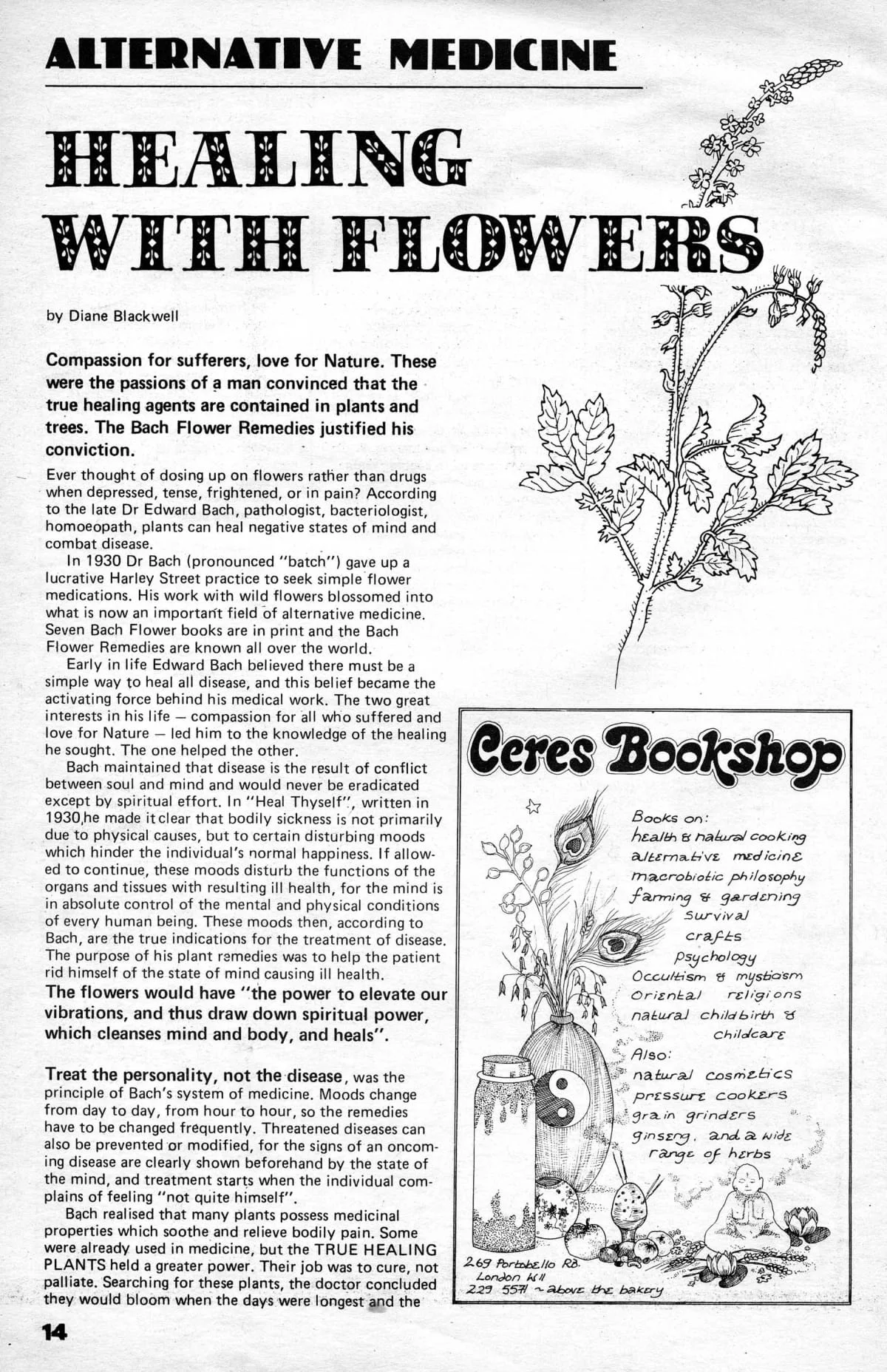 Seed Vol.4 No.9 Sept 1975 p.14