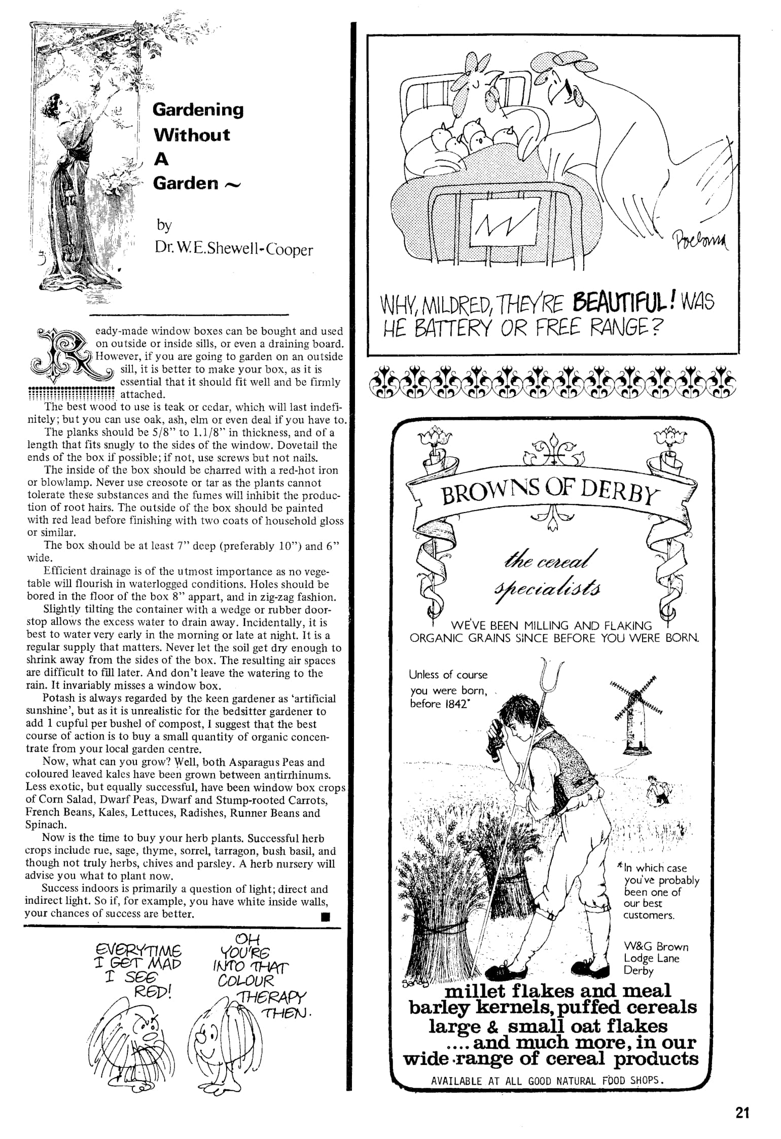 Seed Vol.4 No.10 Oct 1975 p.21