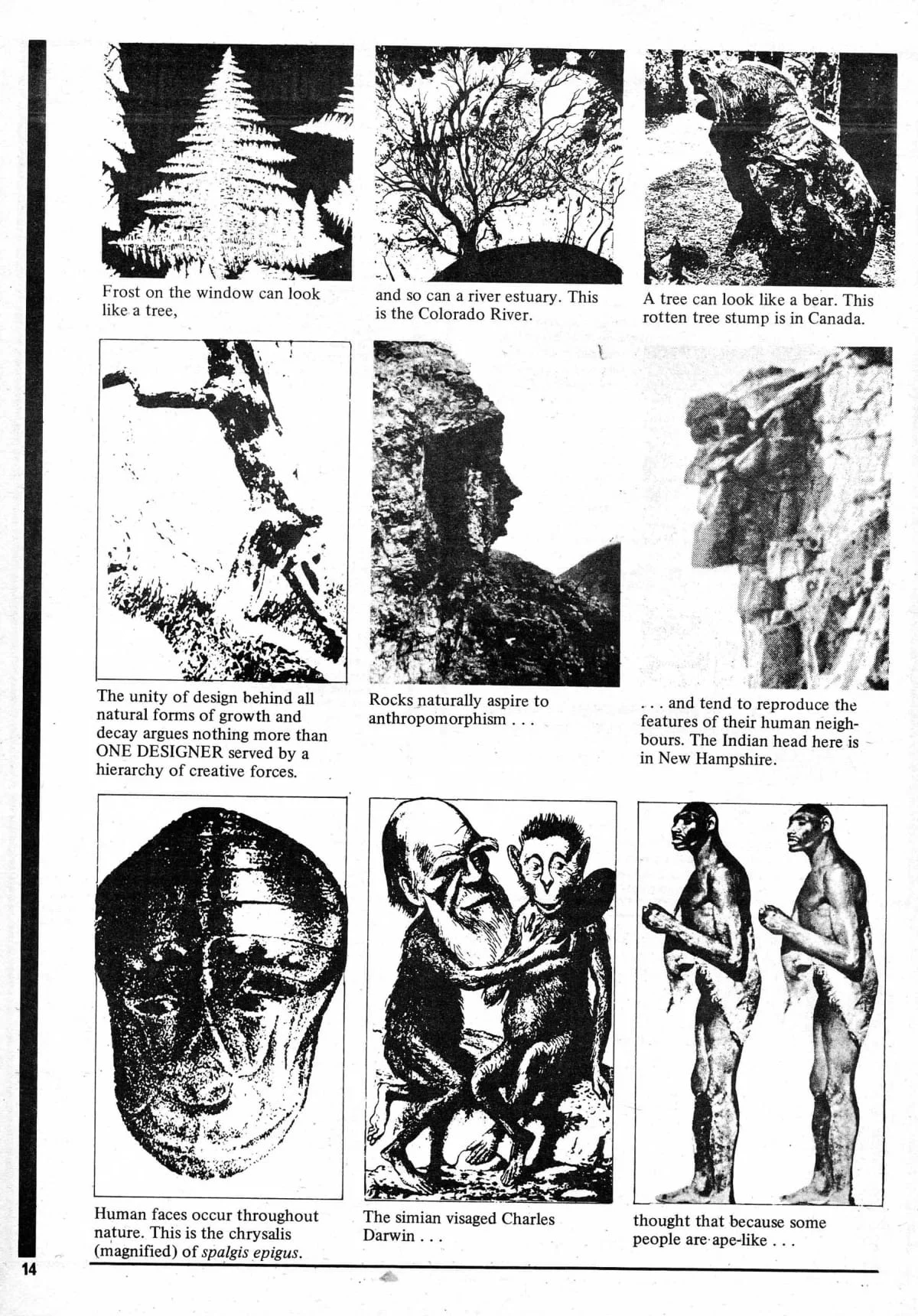 Seed Vol.5 No.1 Jan 1976 p.14