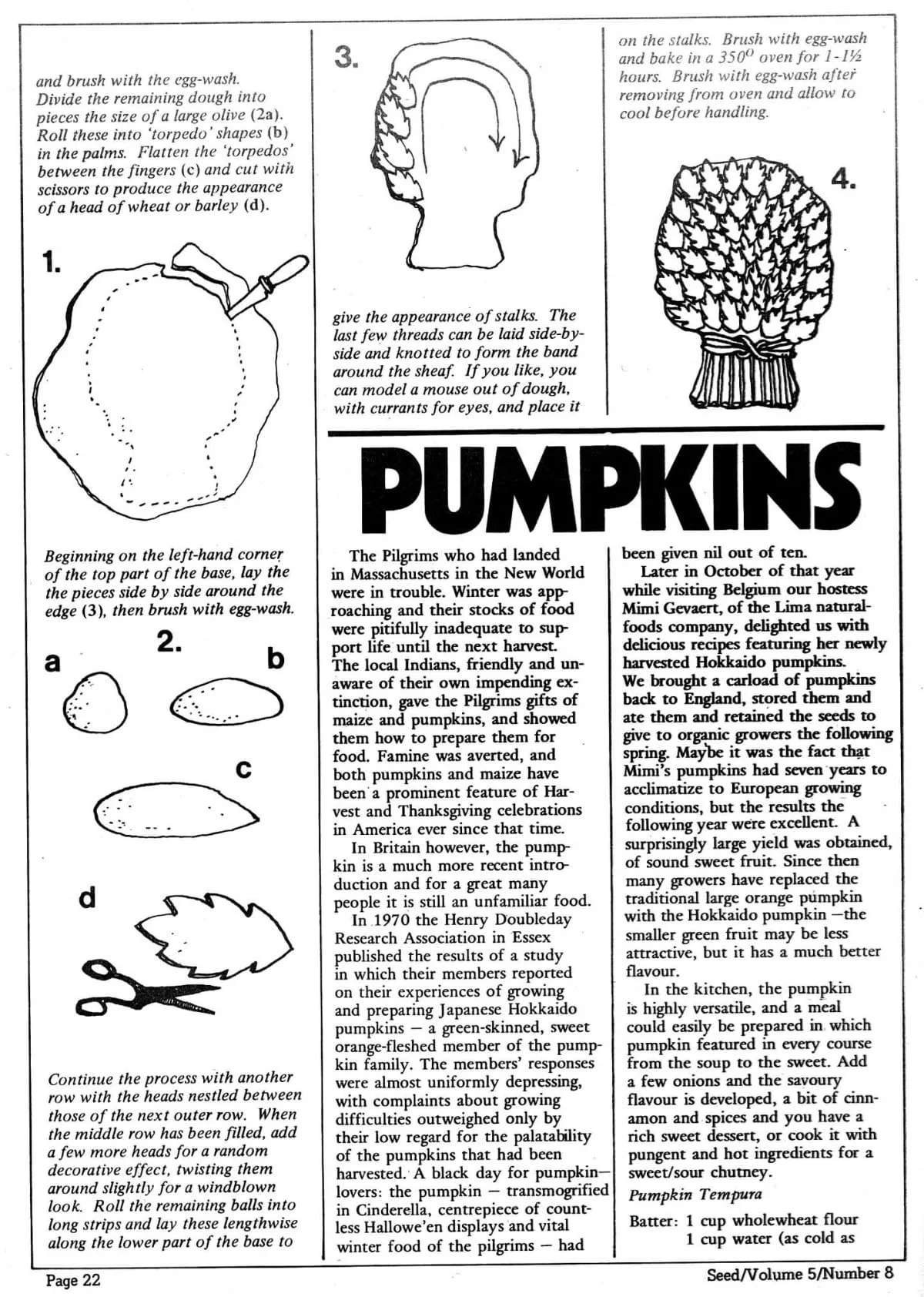 Seed Vol.5 No.8 August 1976 p.24