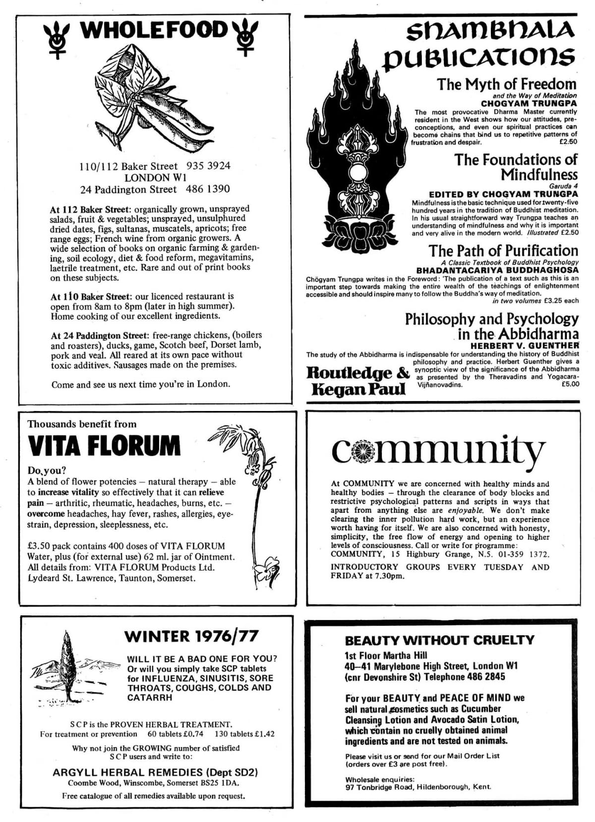 Seed Vol.5 No.8 August 1976 p.4