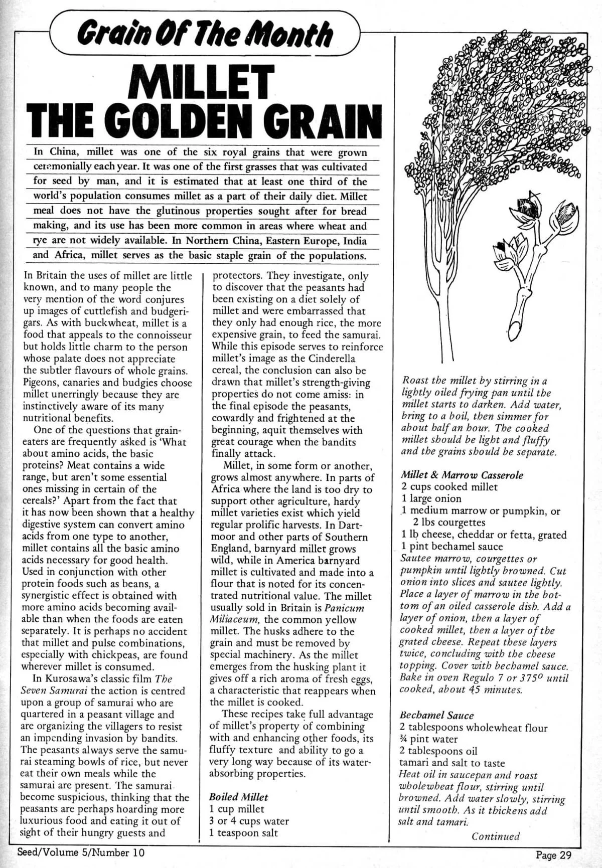 Seed Vol.5 No.10 October 1976 p.31