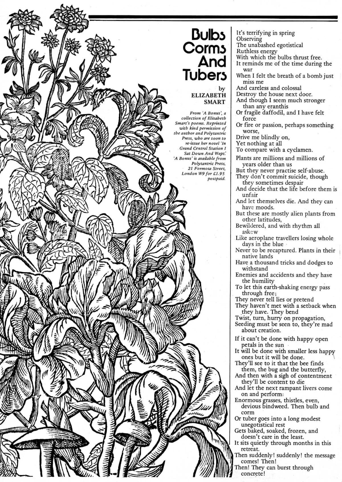 Seed Vol.6 No.2 Feb 1977 p.8