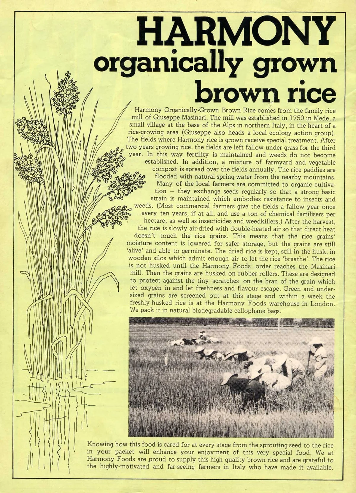Seed Vol.6 No.3 March 1977 p.36