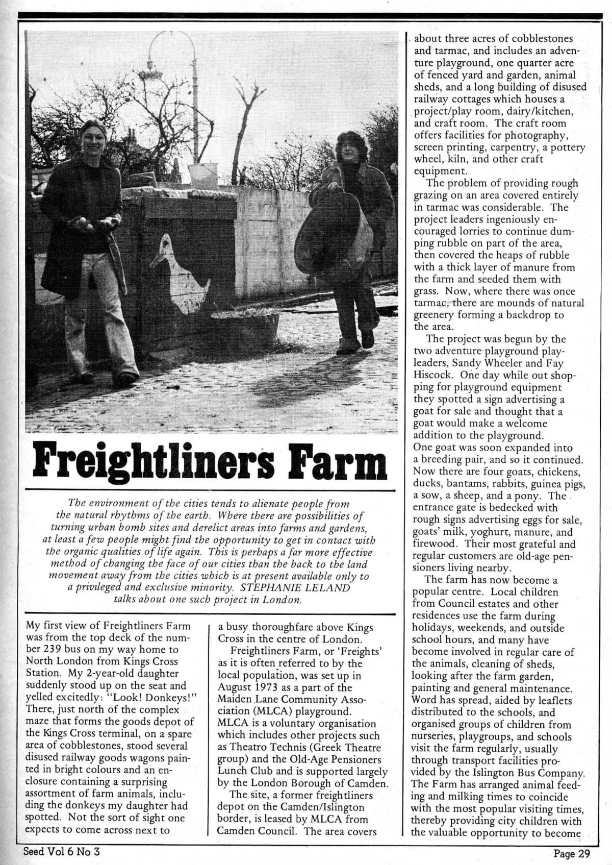 Seed Vol.6 No.3 March 1977 p.31