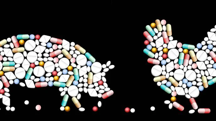 The Elephant in the Obesity Room