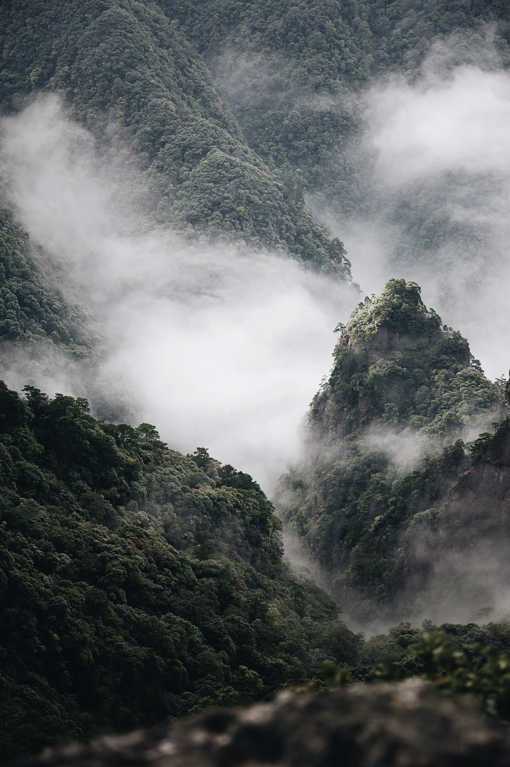 Beijing leads the way on one environmental policy
