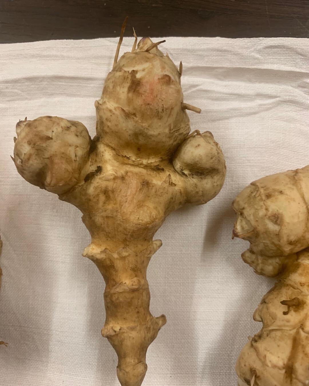 The &lsquo;doctrine of signatures&rsquo; states that you can tell the benefit of something from its appearance. This Jerusalem artichoke looks like food for strength