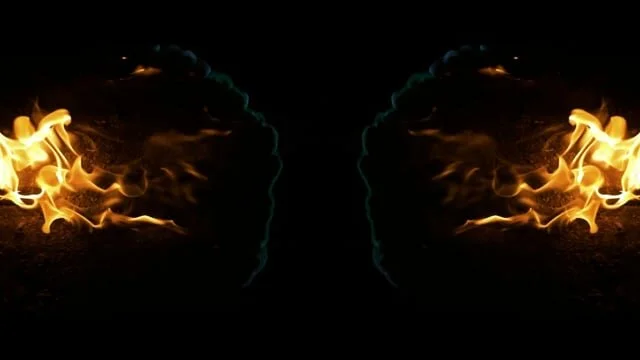 Slide 9