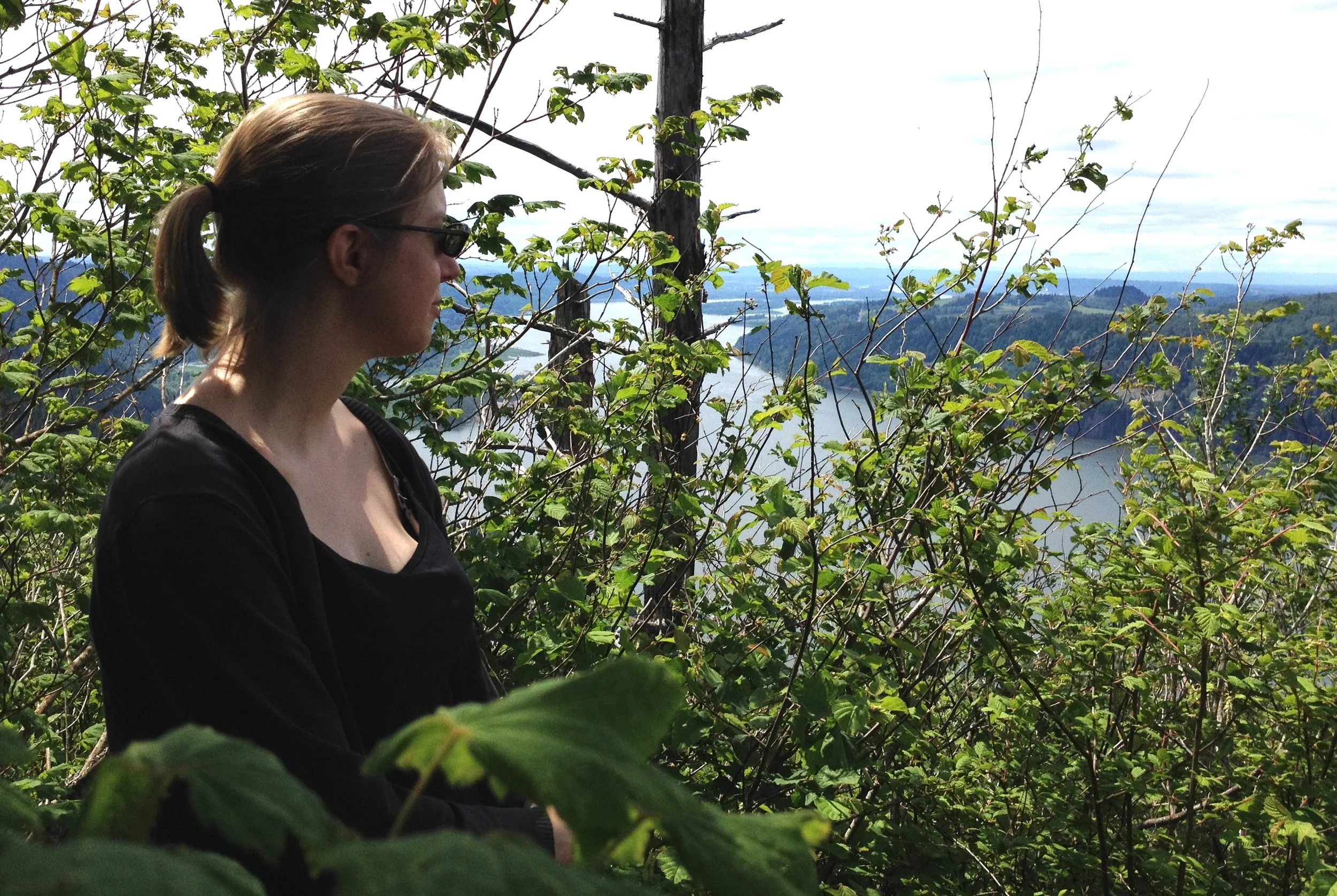 In the Gorge.jpg