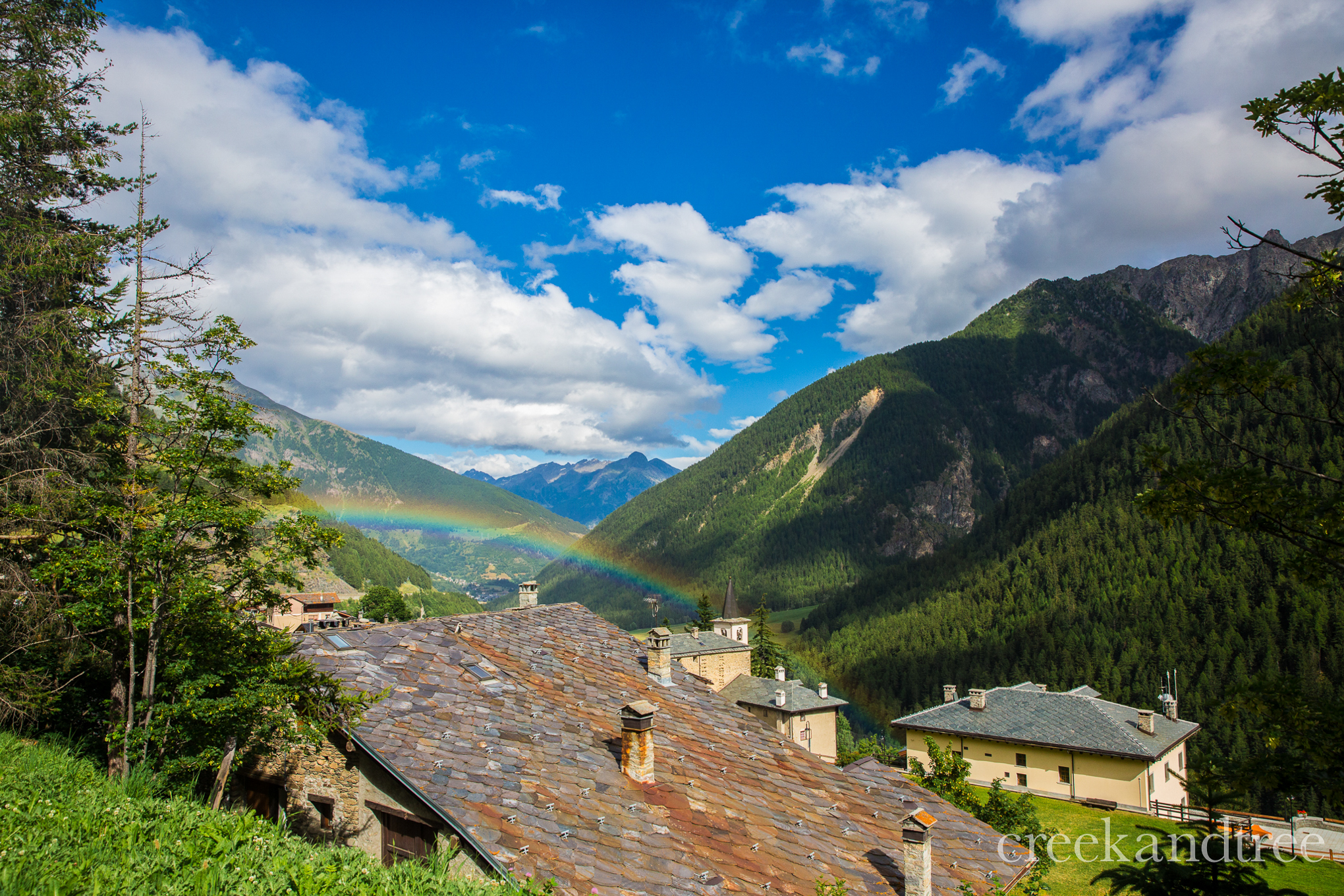 _MG_9951.jpg