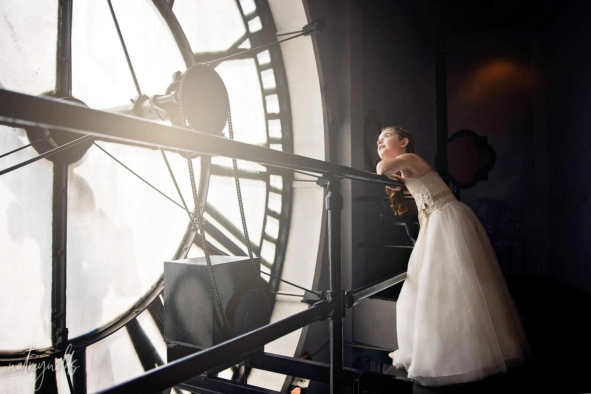 Napa valley wedding  photographer