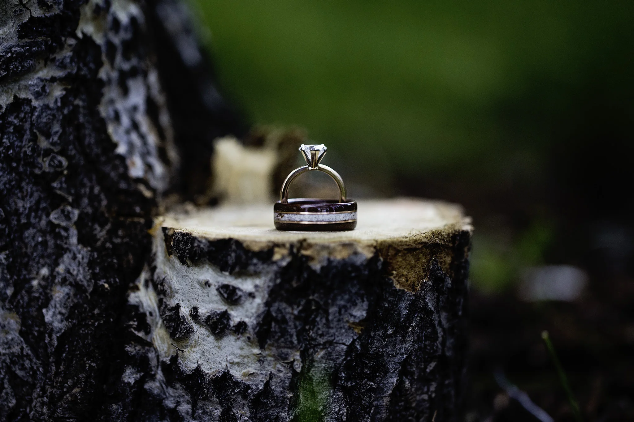 Napa valley wedding  photographer