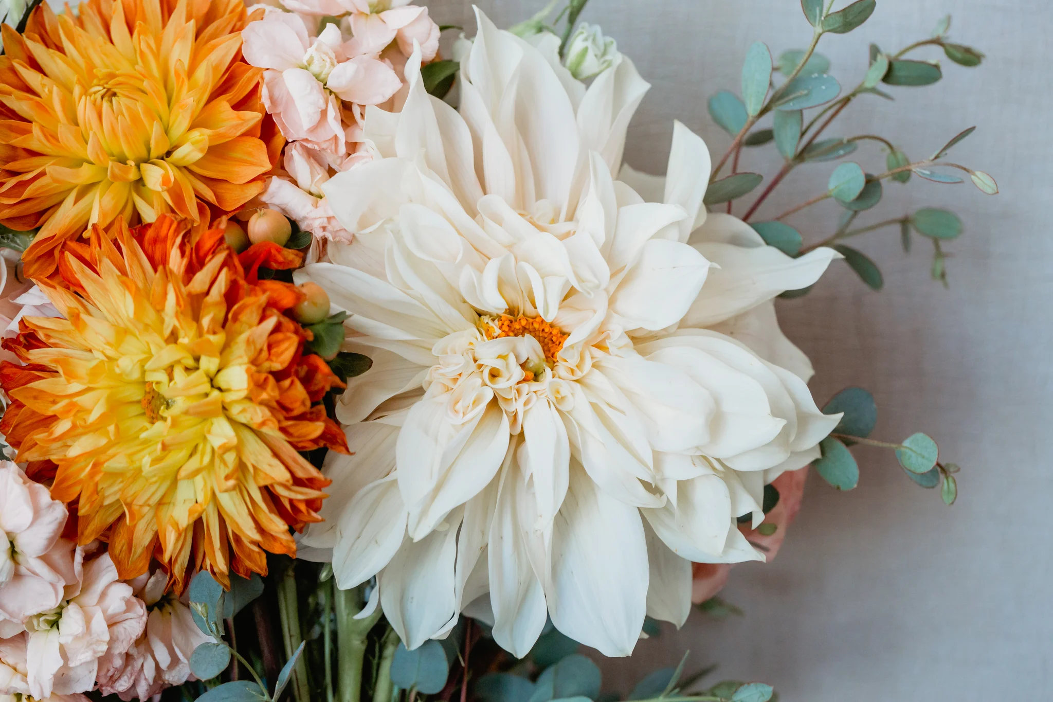 Napa valley wedding  photographer