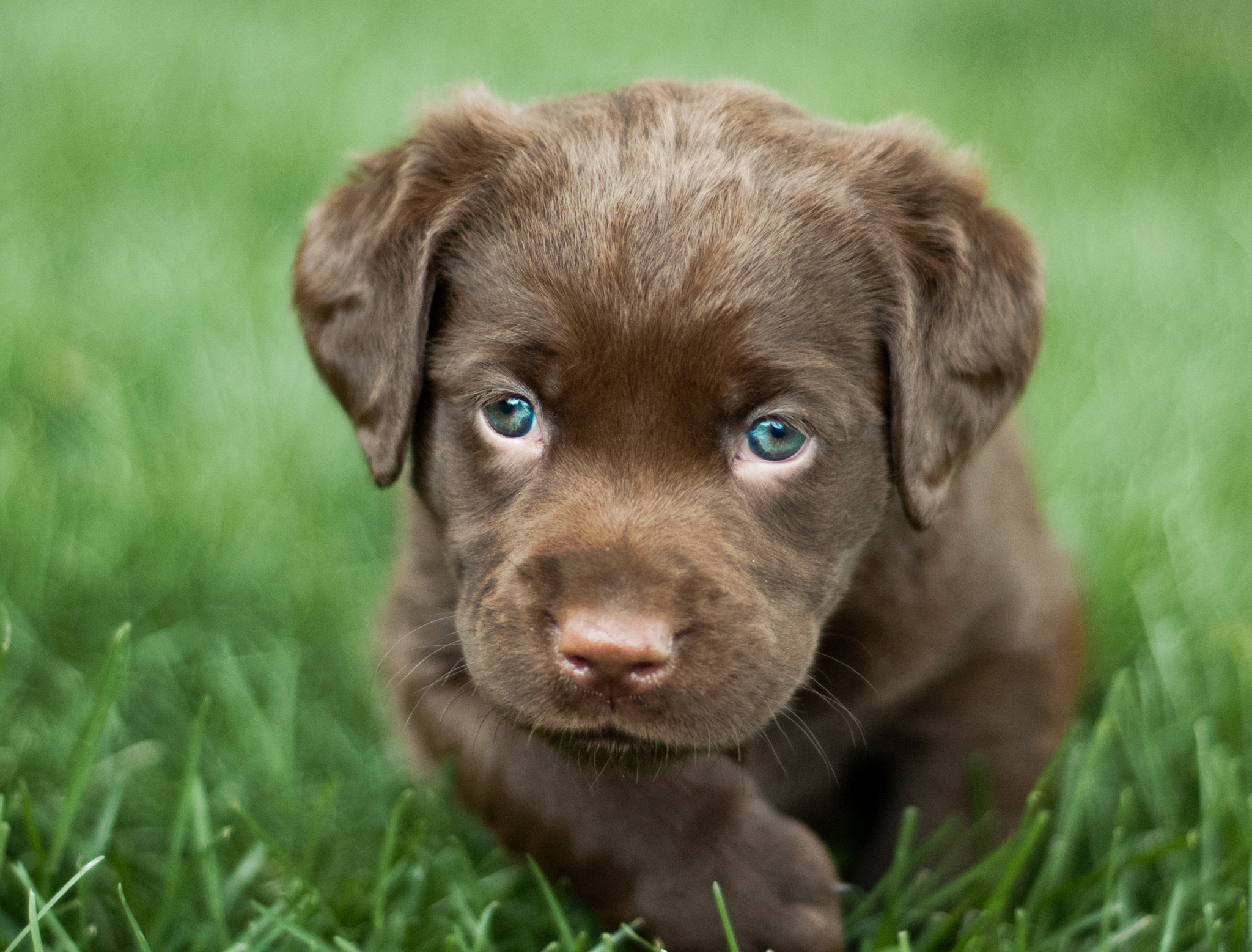 _DSC7044-Edit-Edit.jpg