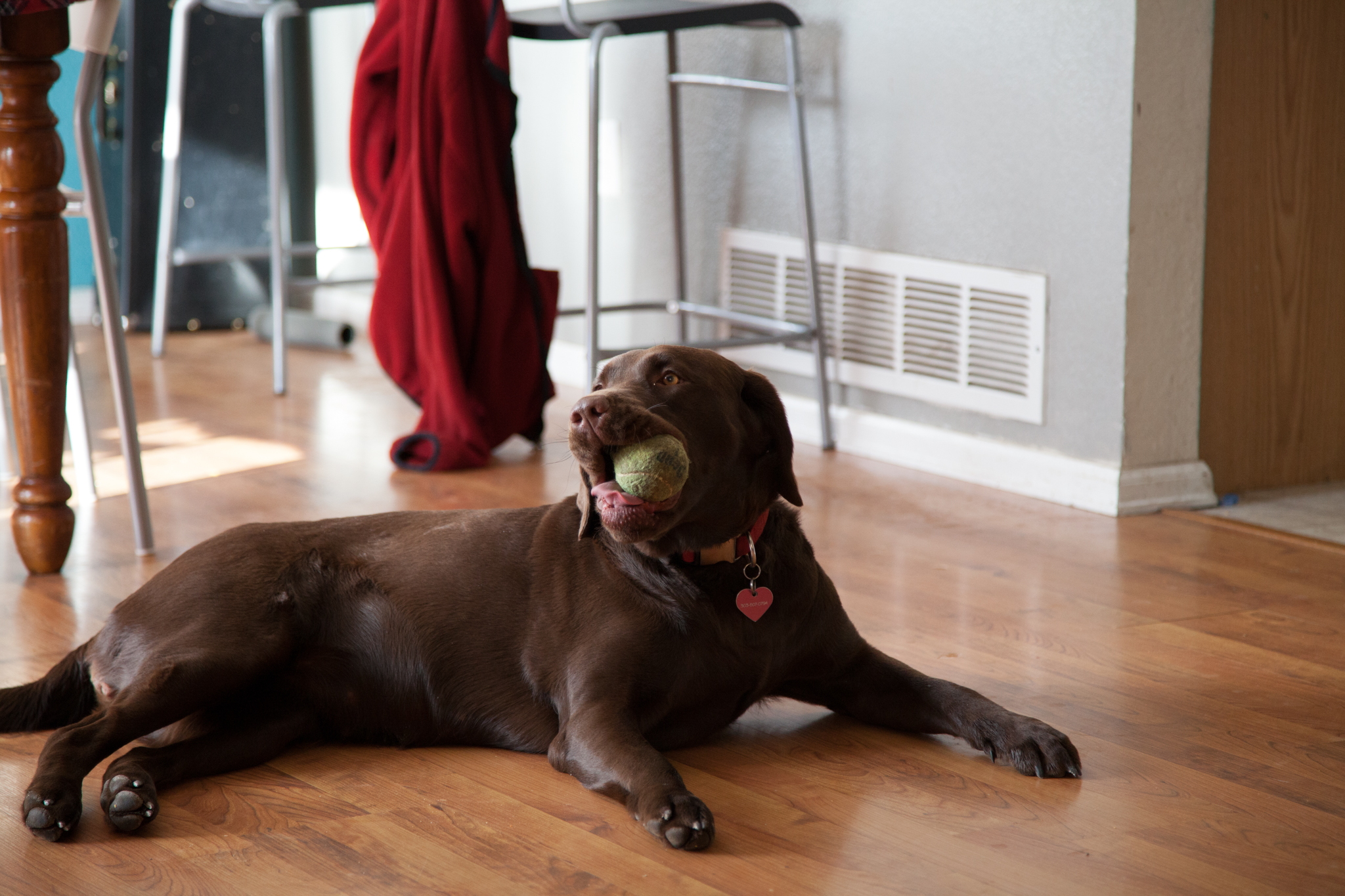 IMG_0361-Edit.jpg