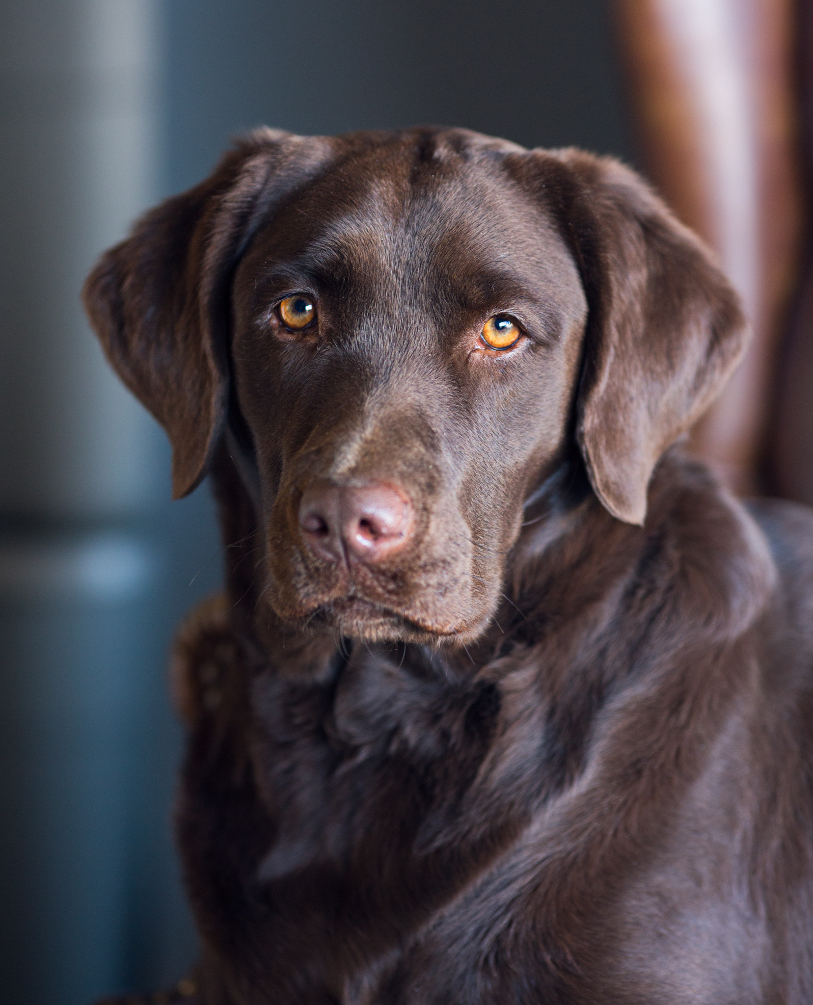 IMG_1794-Edit.jpg