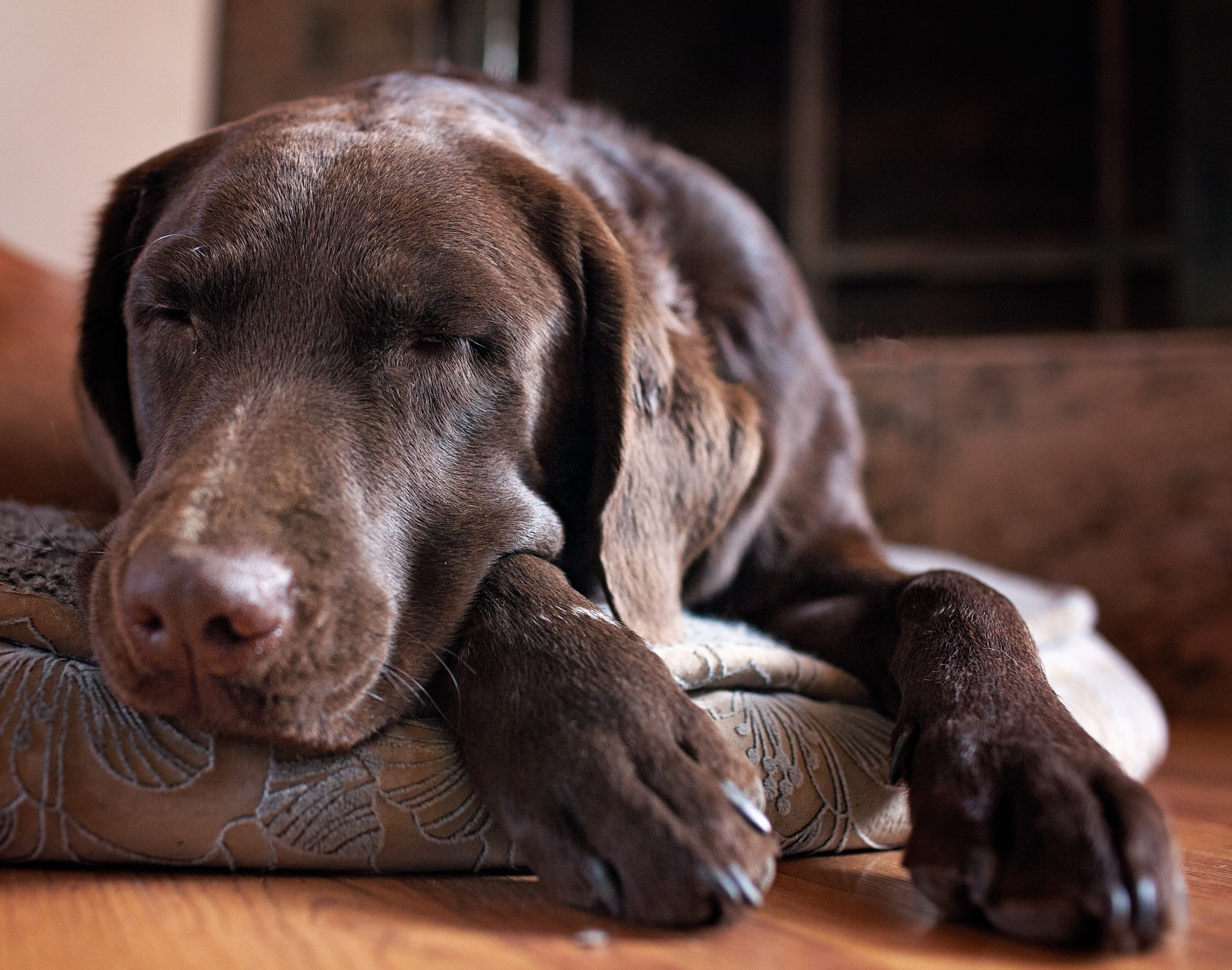 IMG_4112-Edit.jpg