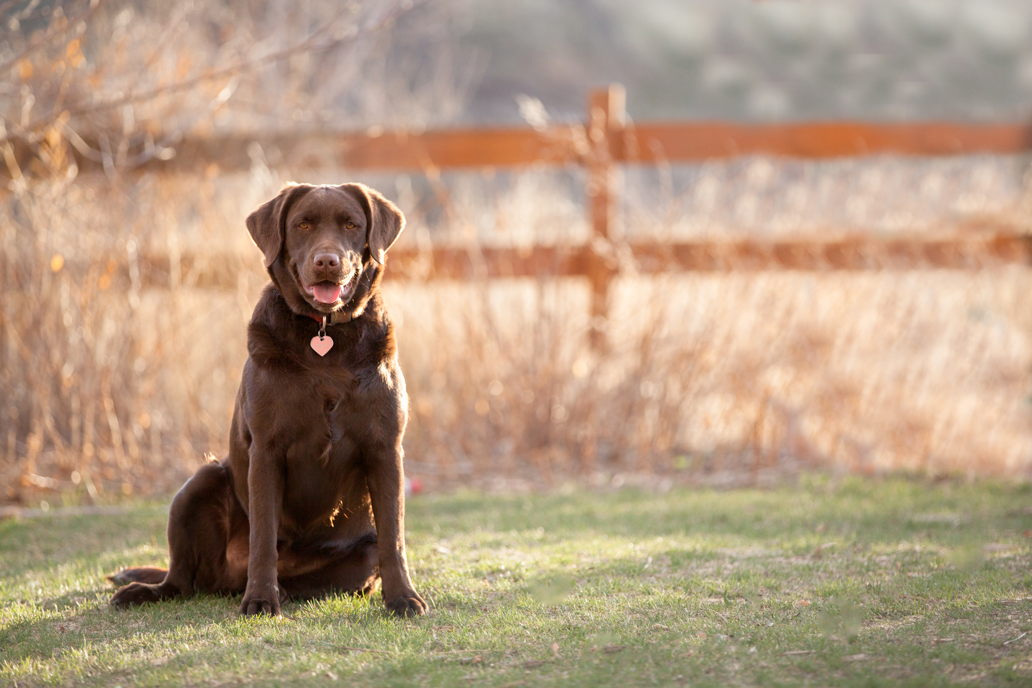 IMG_5259-Edit.jpg