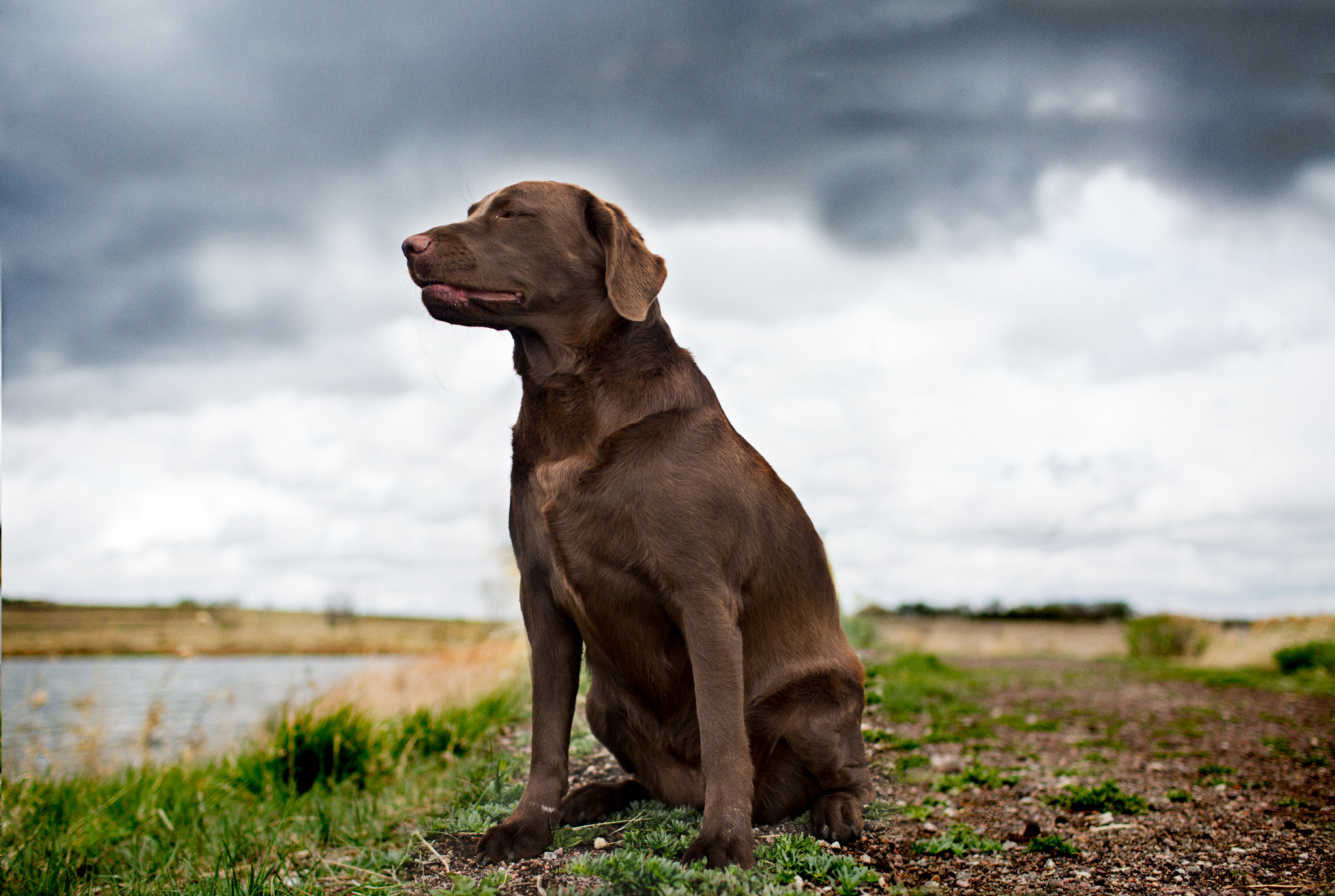 IMG_6254-Edit.jpg