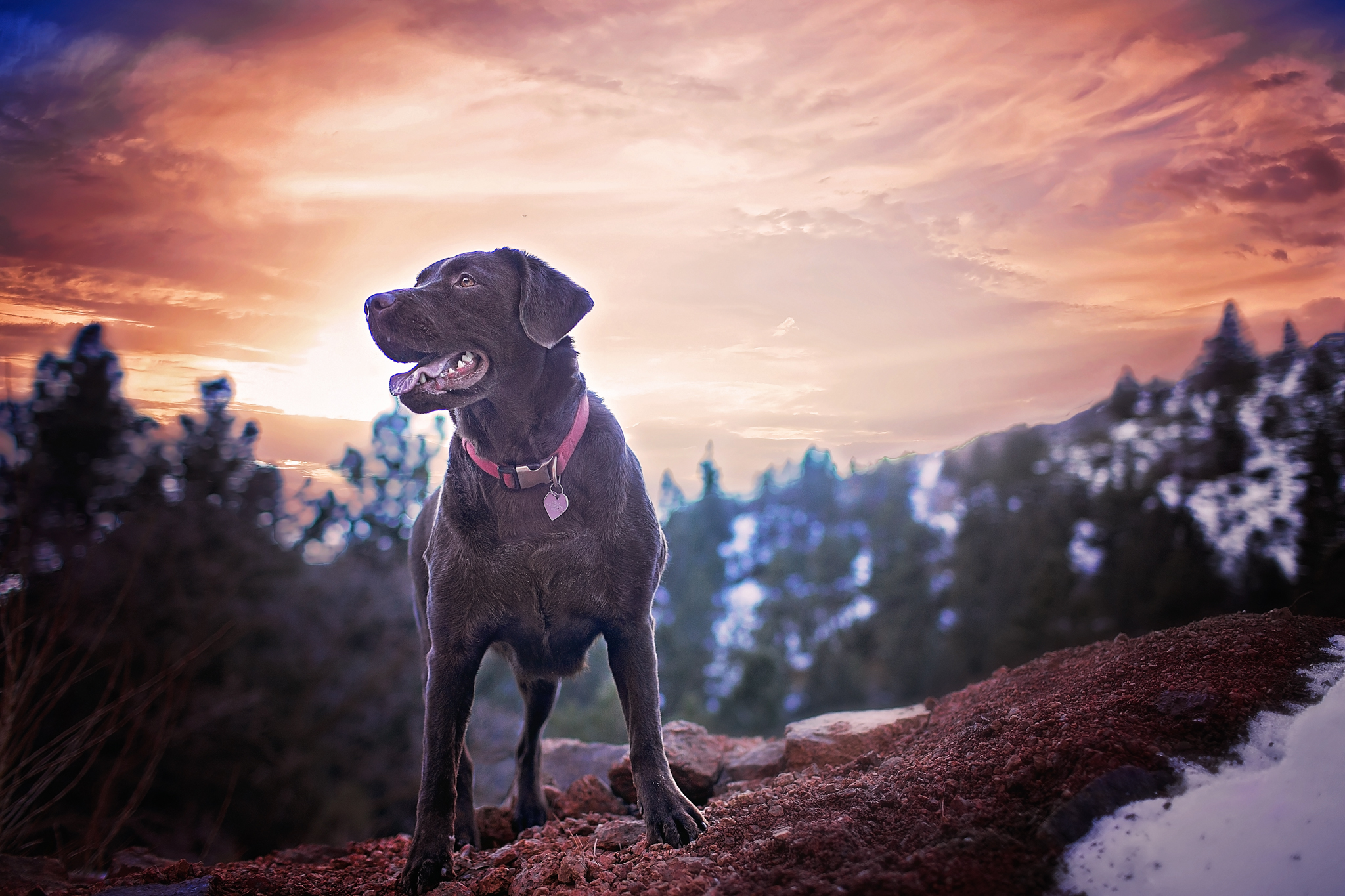 IMG_9454-Edit-Edit.jpg