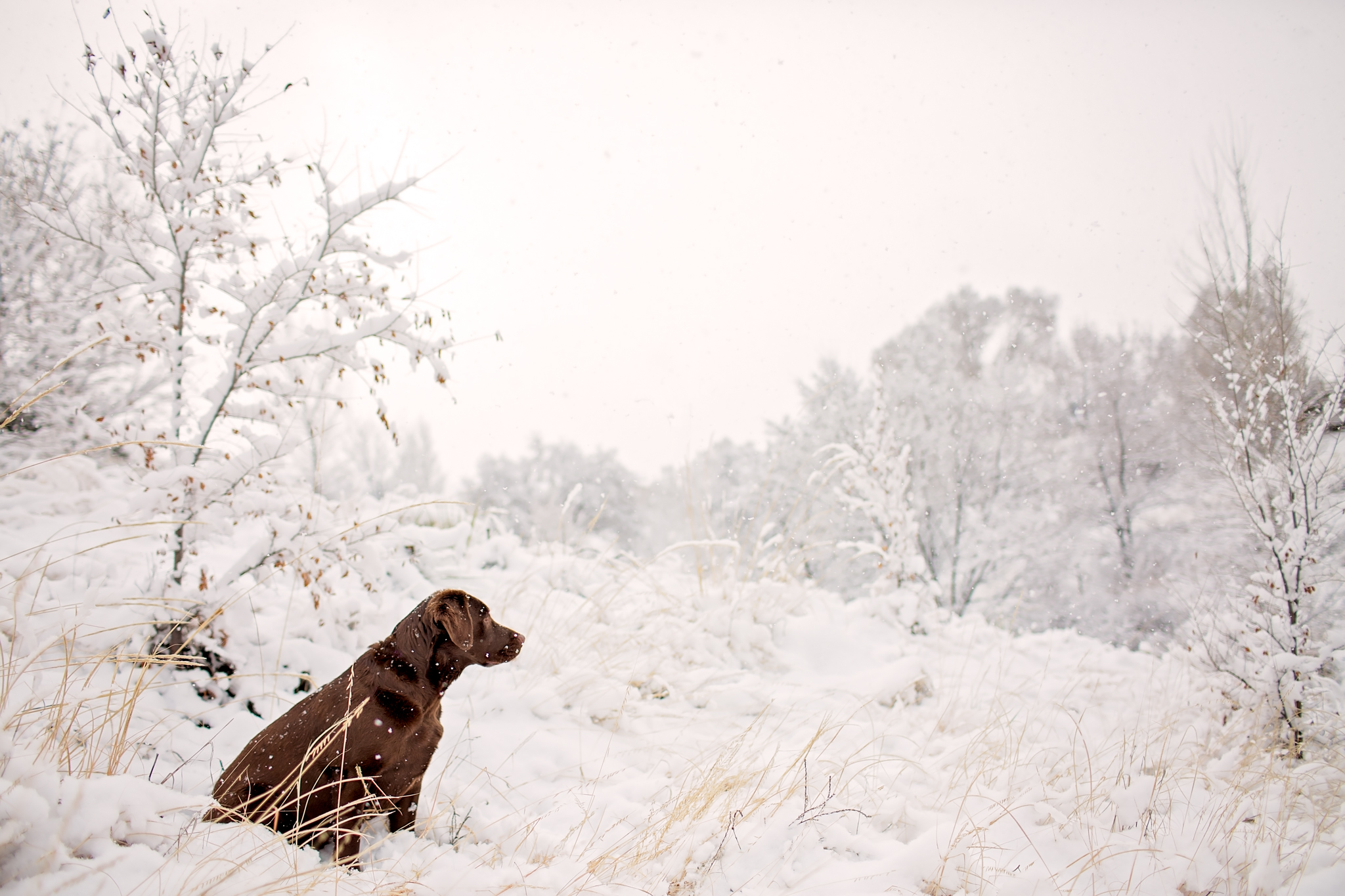 IMG_9974-Edit.jpg