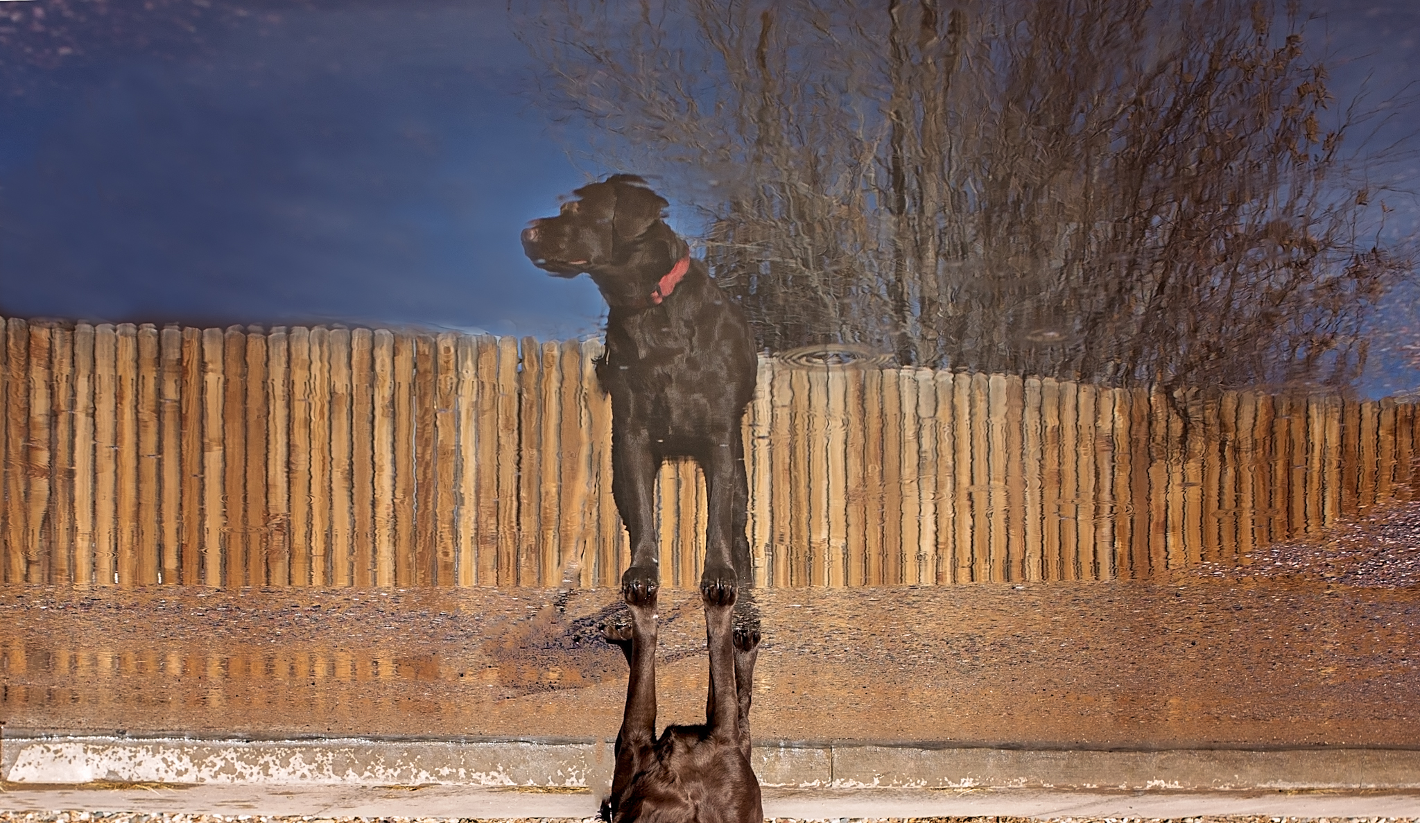 IMG_9999-Edit.jpg