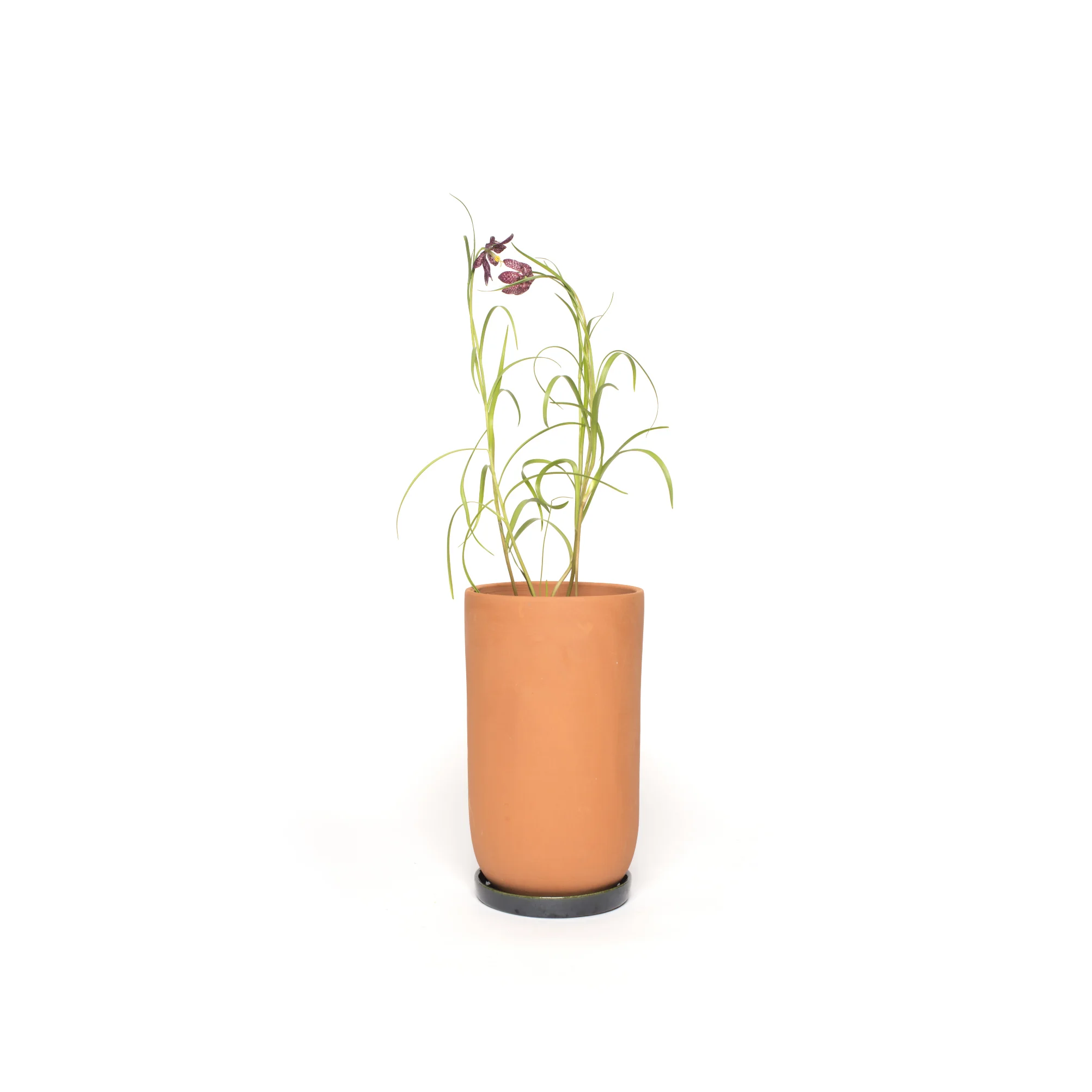Pot terracotta soucoupe émail noir