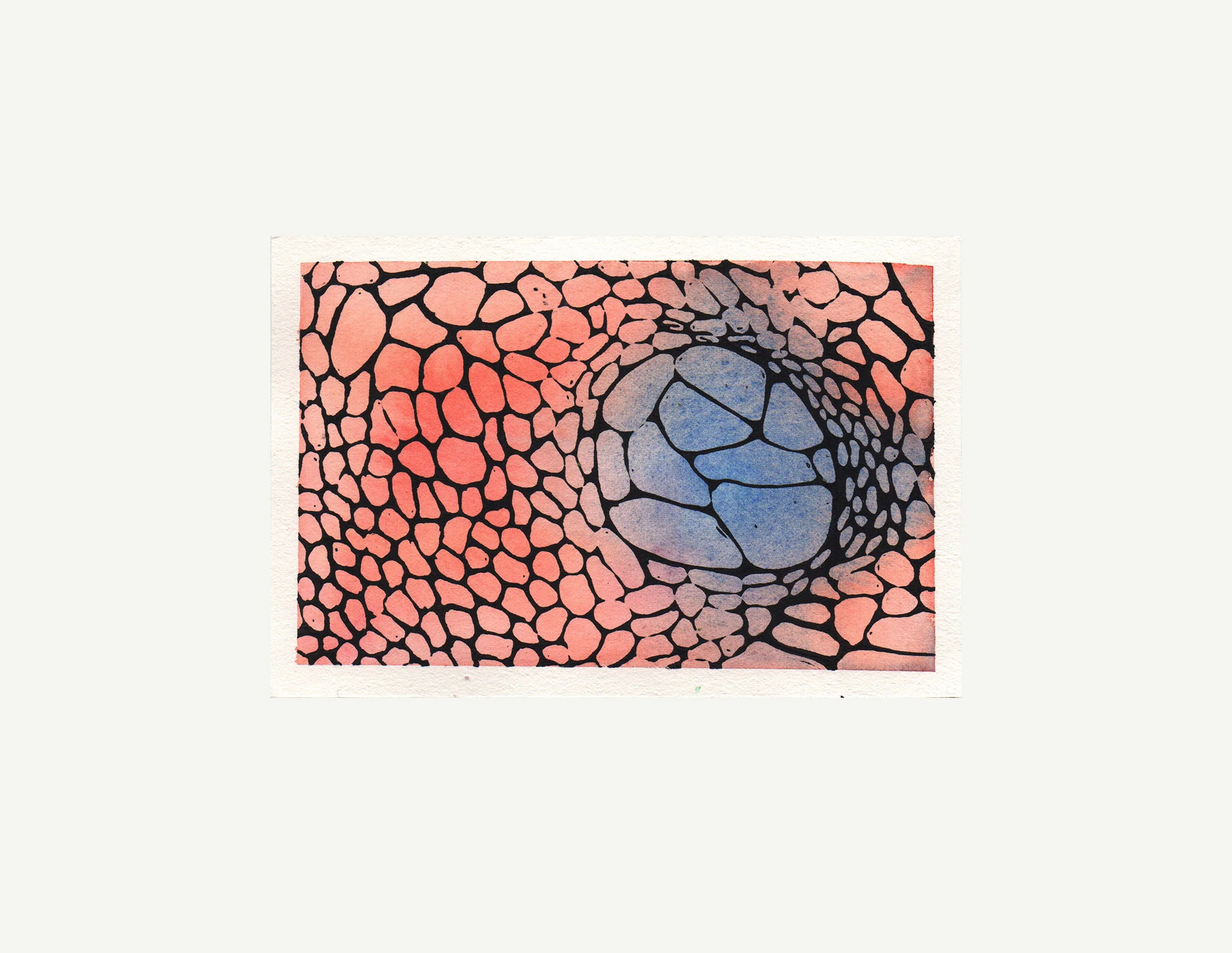 linogravure aquarelle Bianca Scali