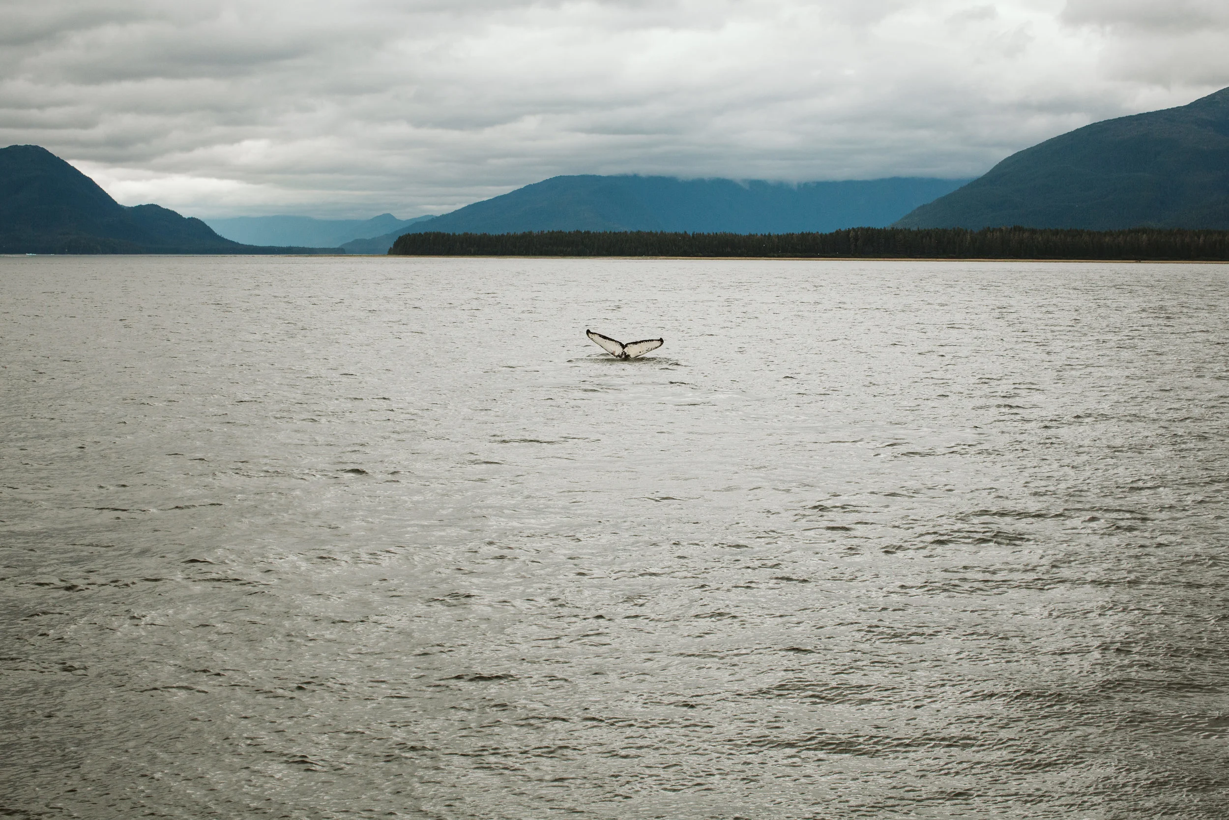 Engagement_Southern Oregon_Cruise_Alaska_Couple (3 of 4).jpg