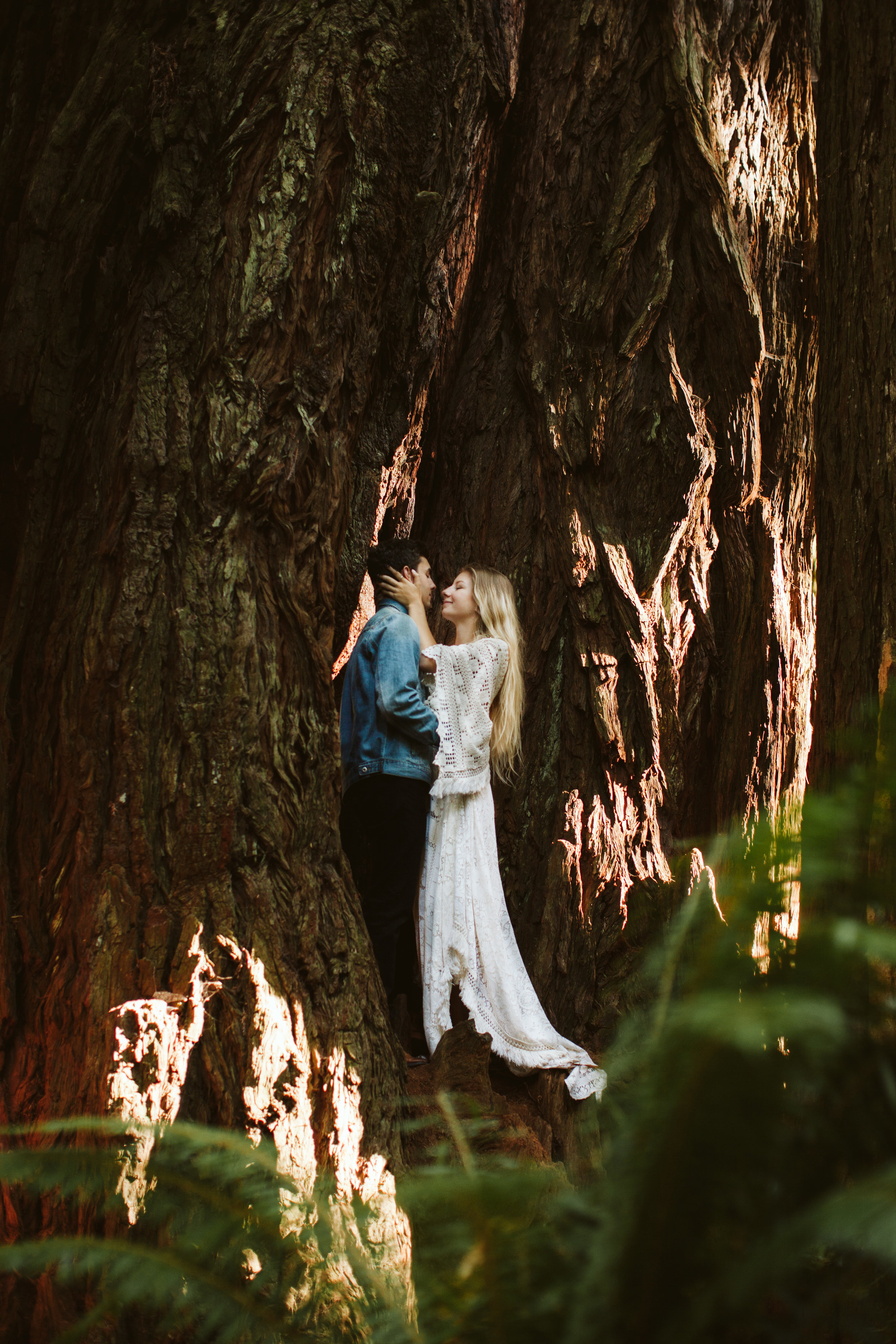 Redwoods_Elopement_Engagement_PNW_SouthernOregon_NorthernCalifornia_ (32 of 42).jpg