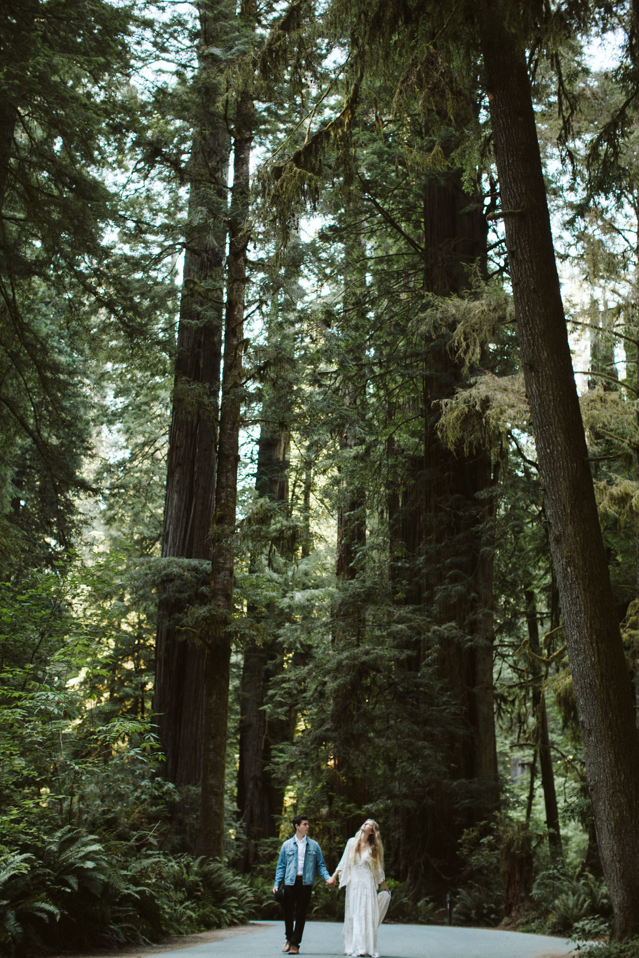 Redwoods_Elopement_Engagement_PNW_SouthernOregon_NorthernCalifornia_ (40 of 42).jpg