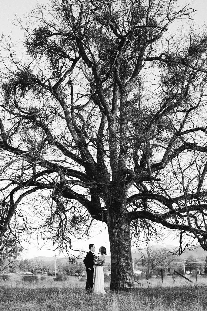 Bride and Groom under a tree | Southern Oregon Wedding Photographer
