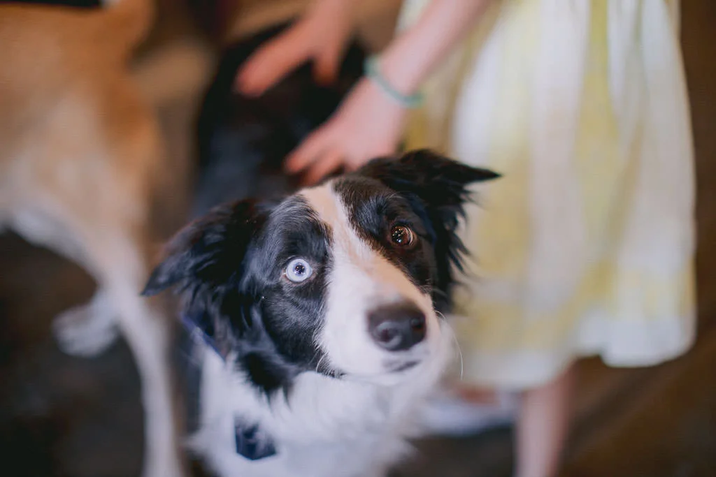 Southern_Oregon_Wedding_Photographer-24.jpg